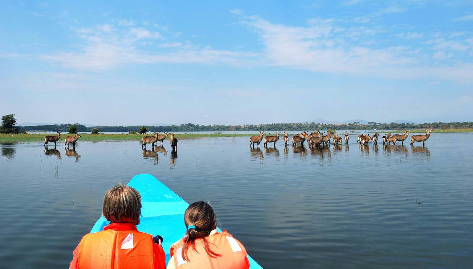 Nairobi to Lake Nakuru & Lake Naivasha Full-Day Safari