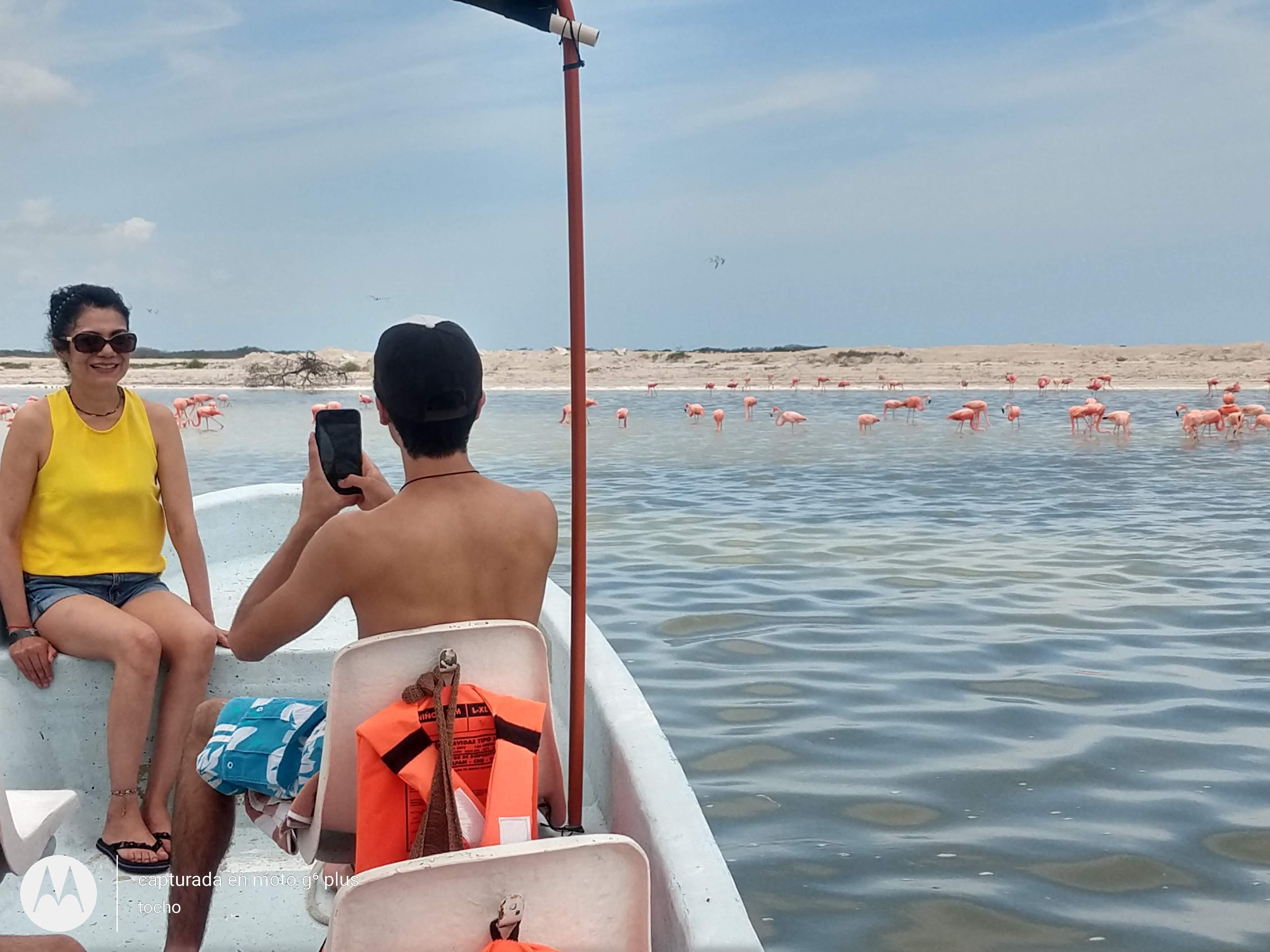 Private Ría Lagartos Flamingo & Crocodile Boat Tour