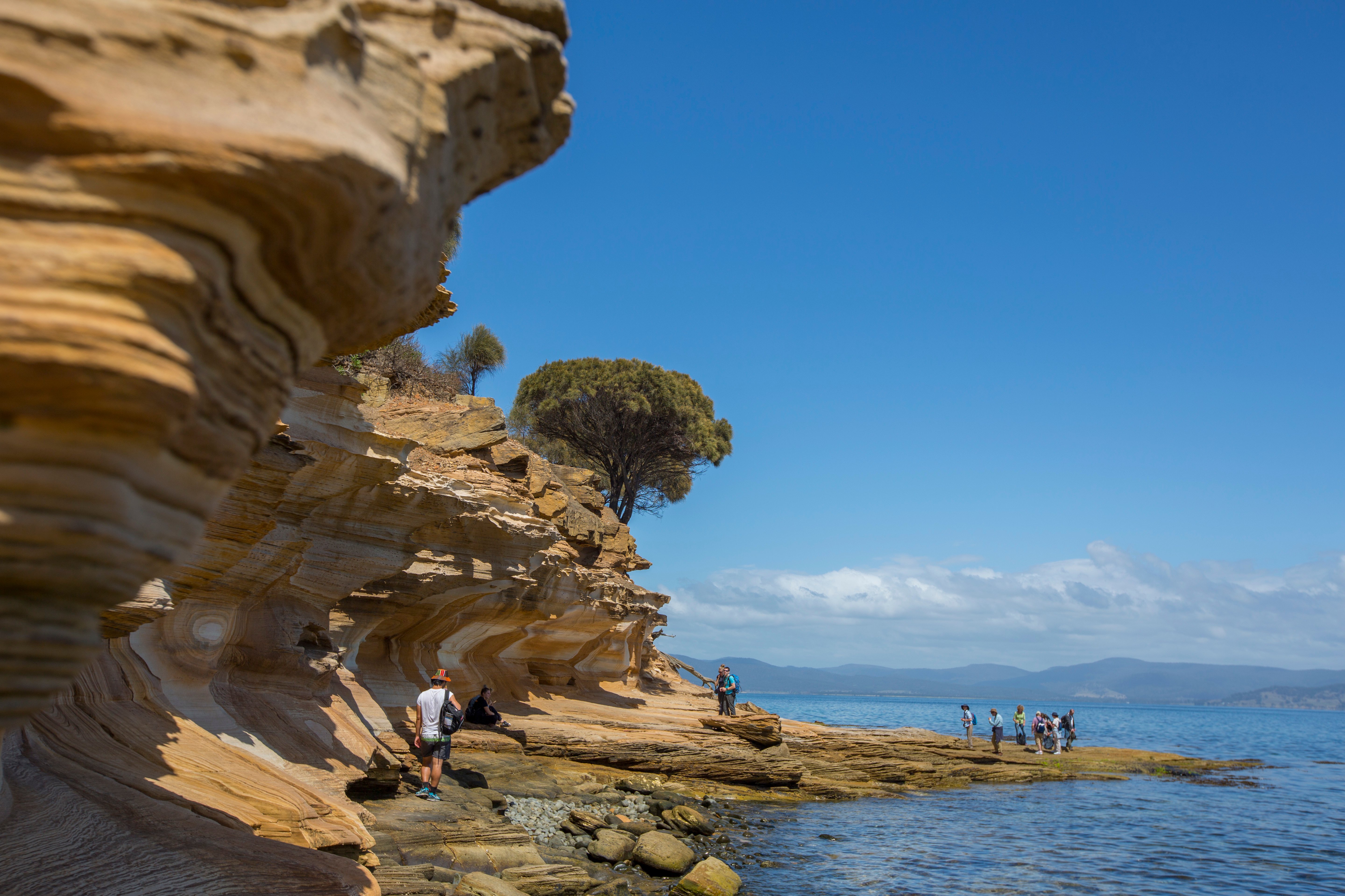 Maria Island National Park Full-Day Active Tour from Hobart