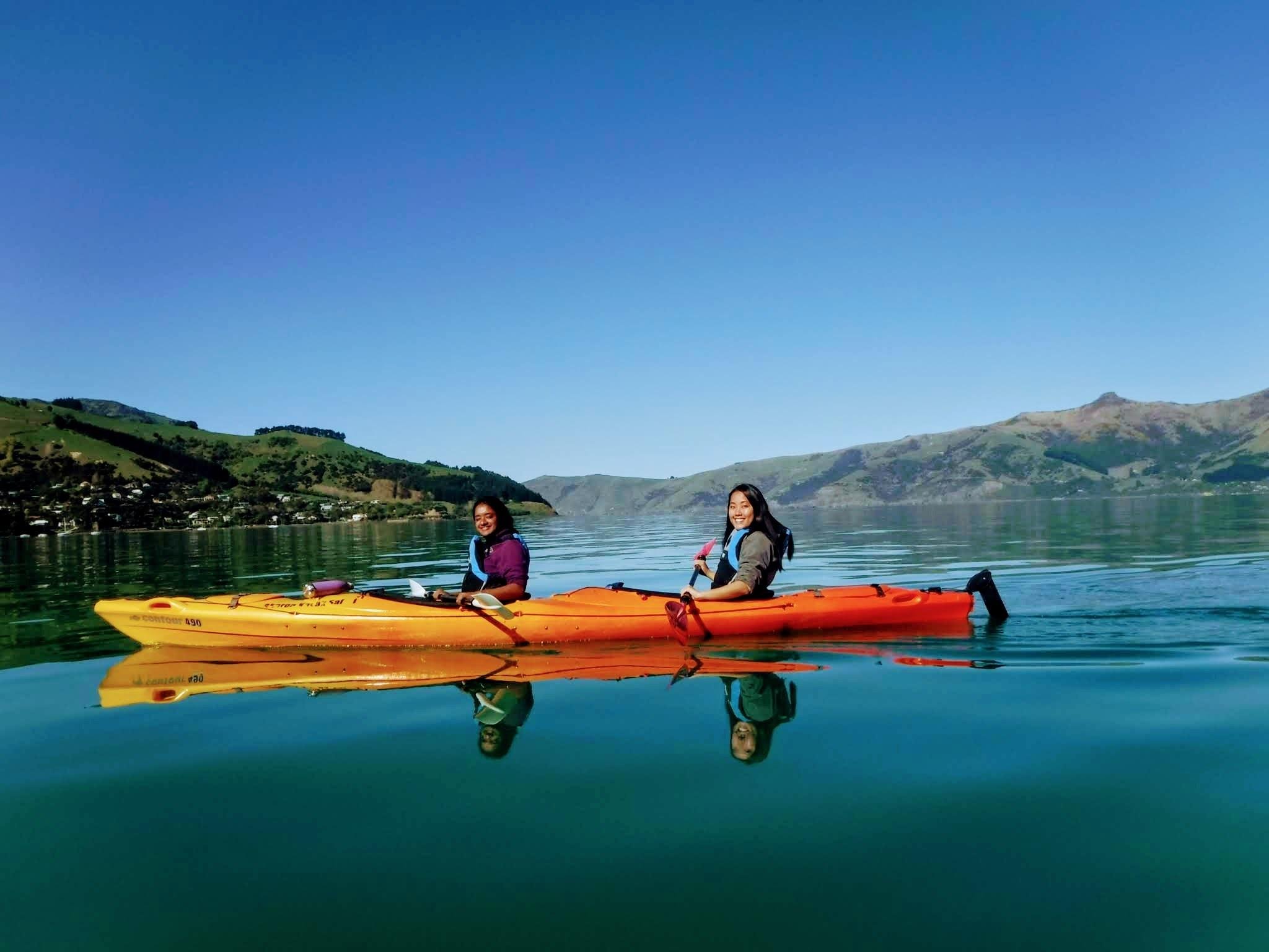 Akaroa: Akaroa Marine Reserve Sea Kayaking Tour