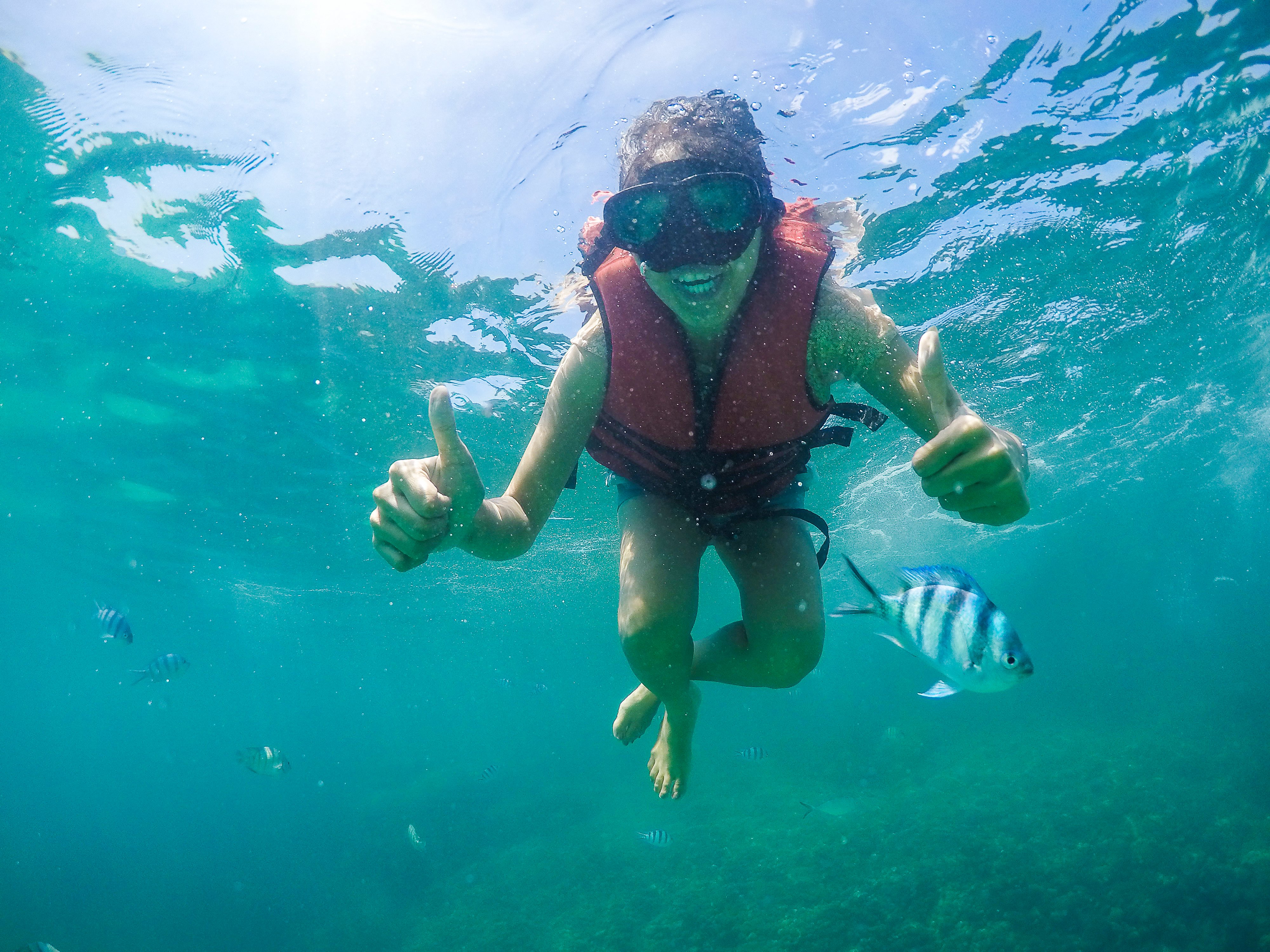 Pig Island & Koh Tan Snorkeling Express