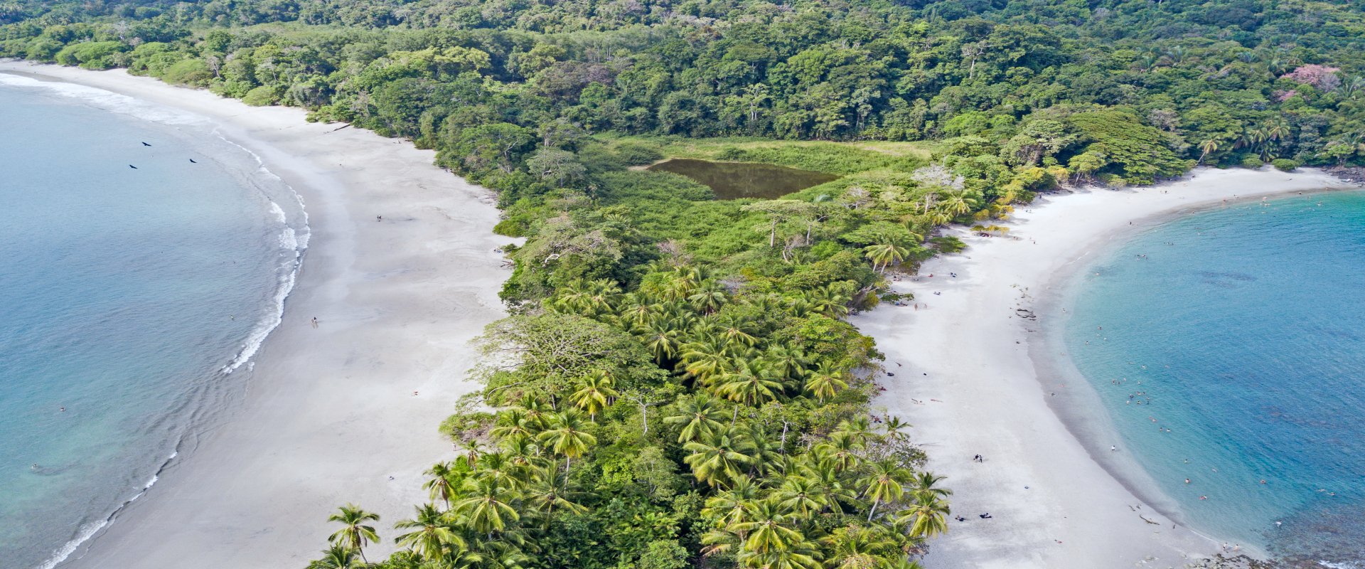 Manuel Antonio National Park: Guided Nature Tour with Entry Ticket