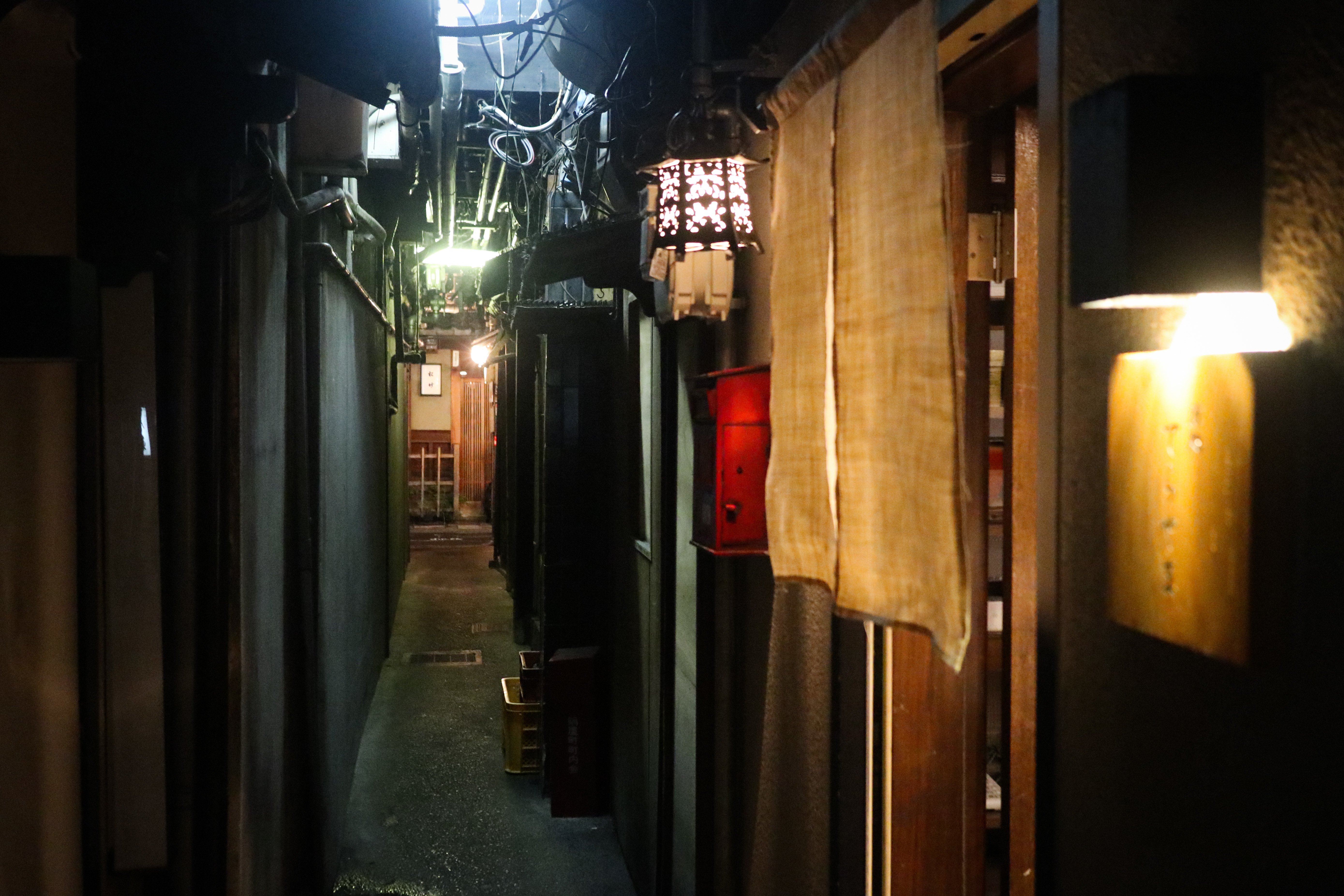 Kyoto Gion & Pontocho Evening Food & Sake Tour