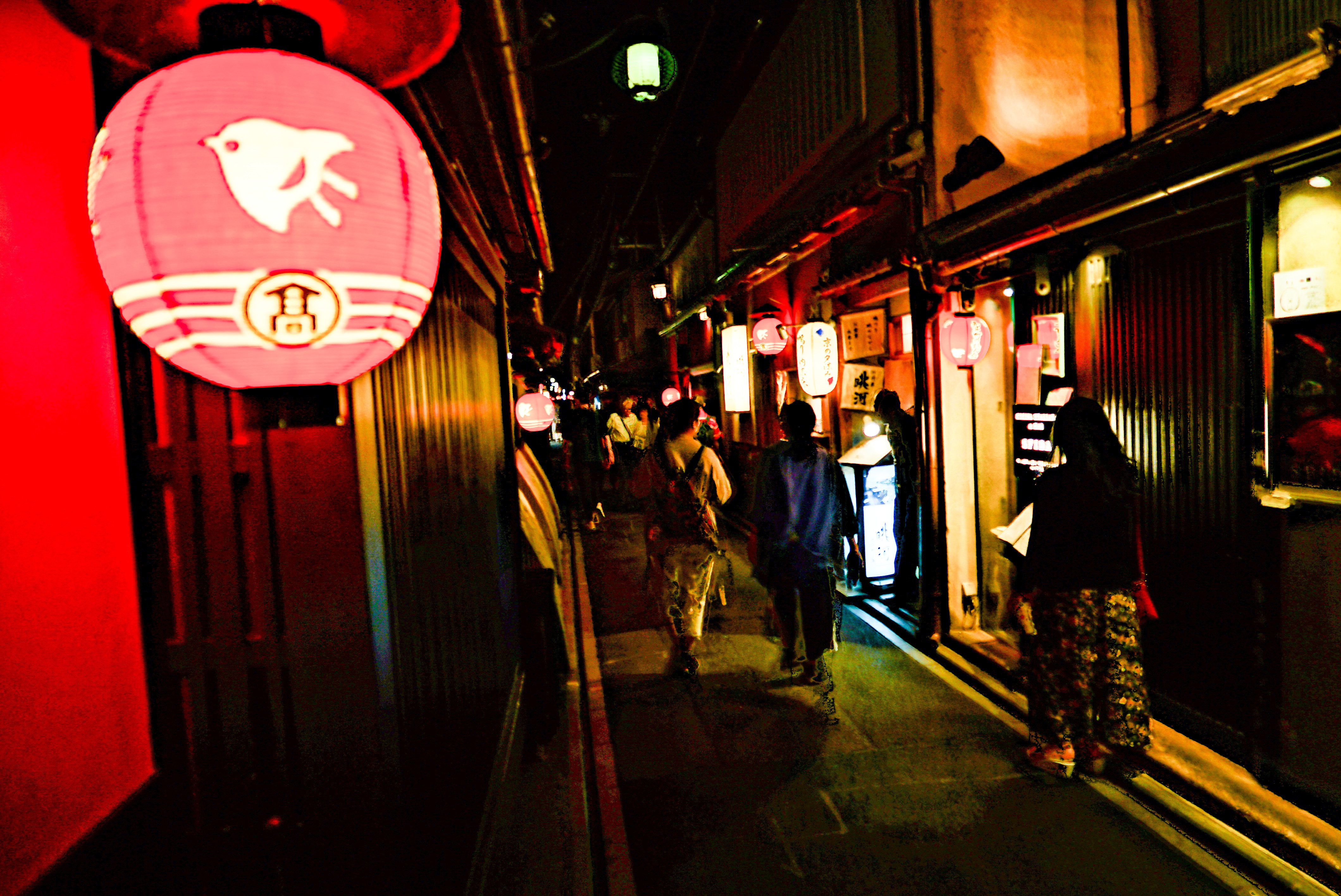 Kyoto Gion & Pontocho Evening Food & Sake Tour