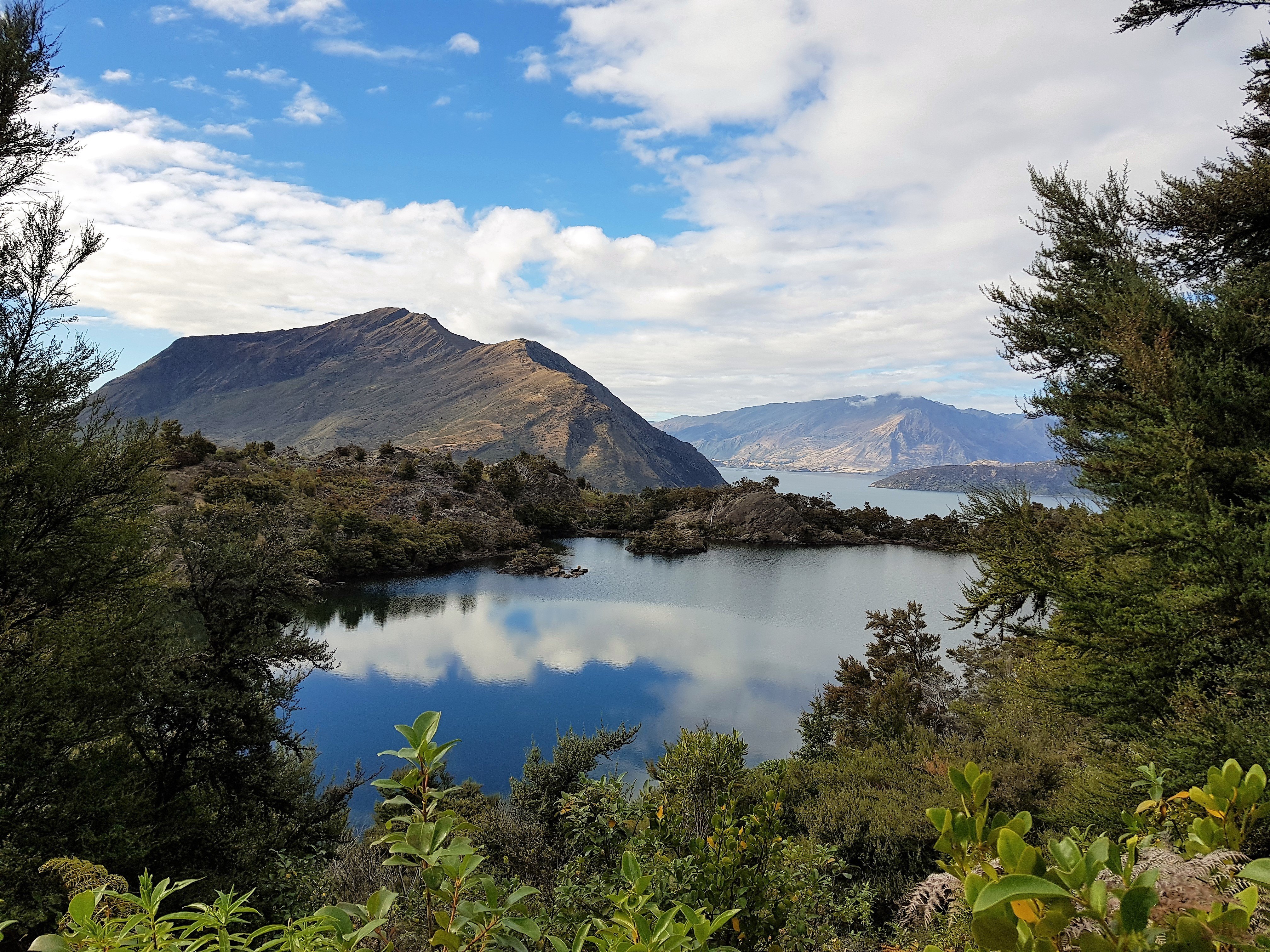 South Island guided tour photo — image 6