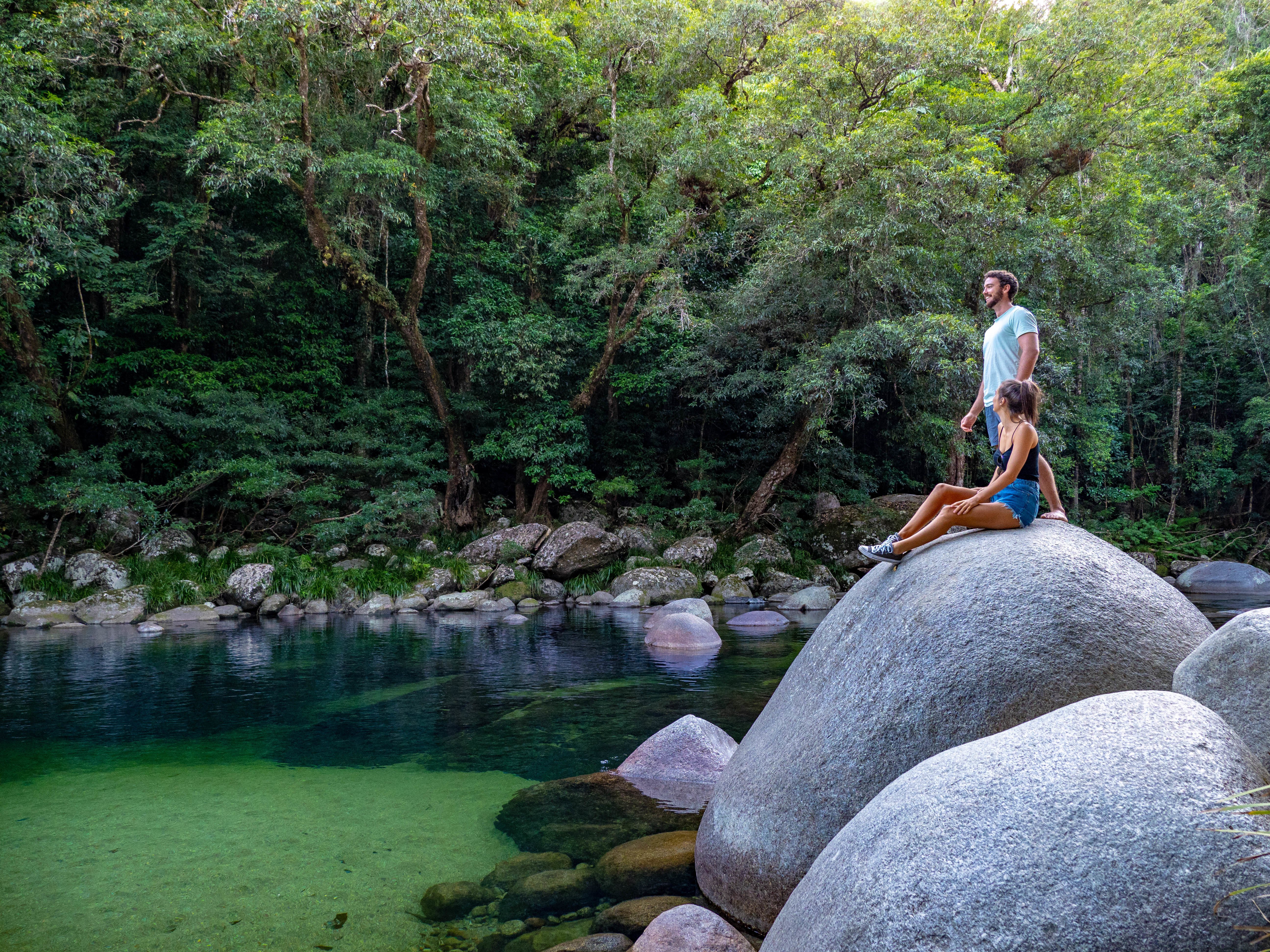 Daintree Rainforest & Cape Tribulation Day Tour from Port Douglas