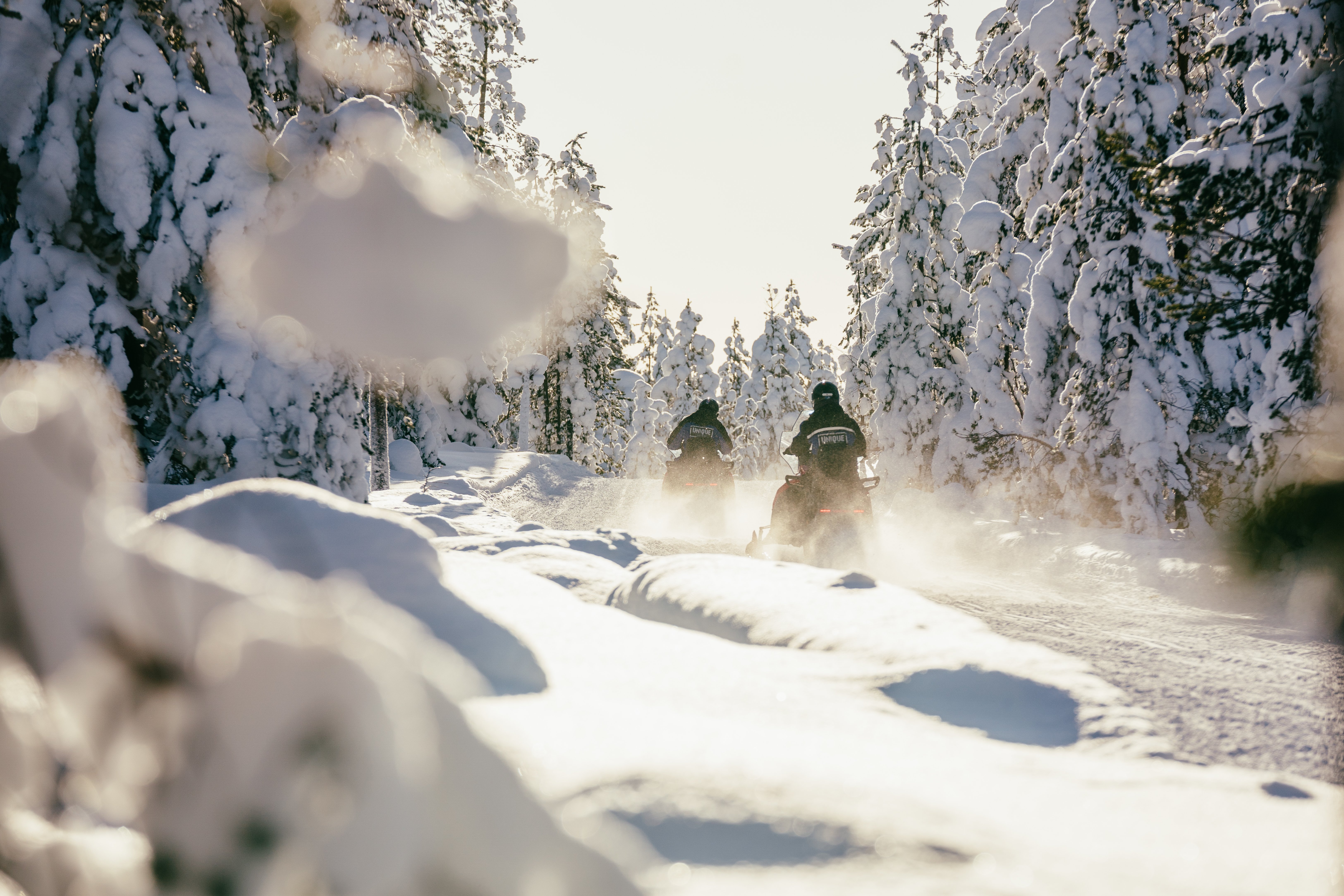Rovaniemi Snowmobile Safari & Ice Fishing Adventure