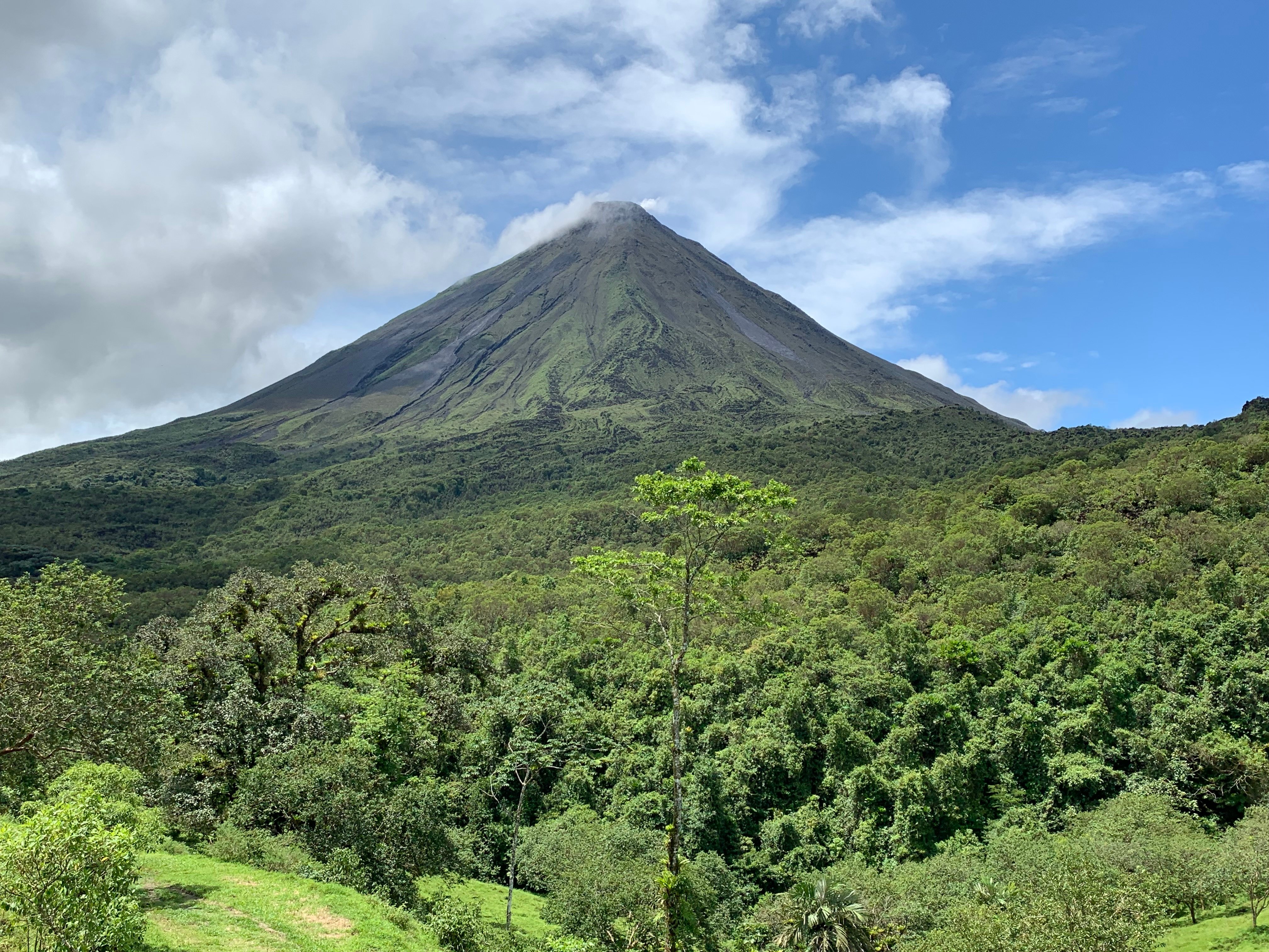 Arenal Volcano, Hanging Bridges & La Fortuna Waterfall Full-Day Tour