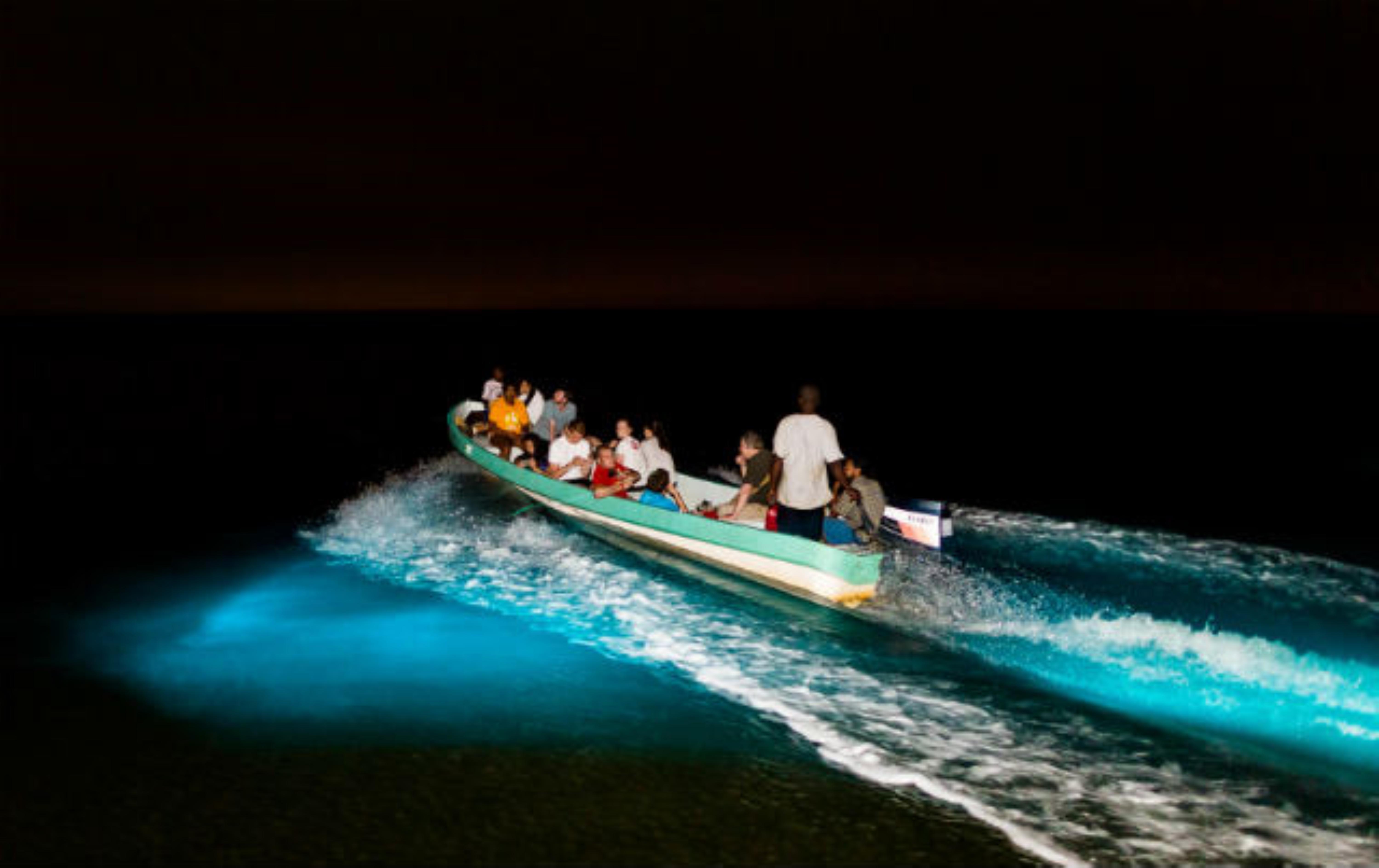 Turtle Release & Bioluminescent Plankton Night Tour