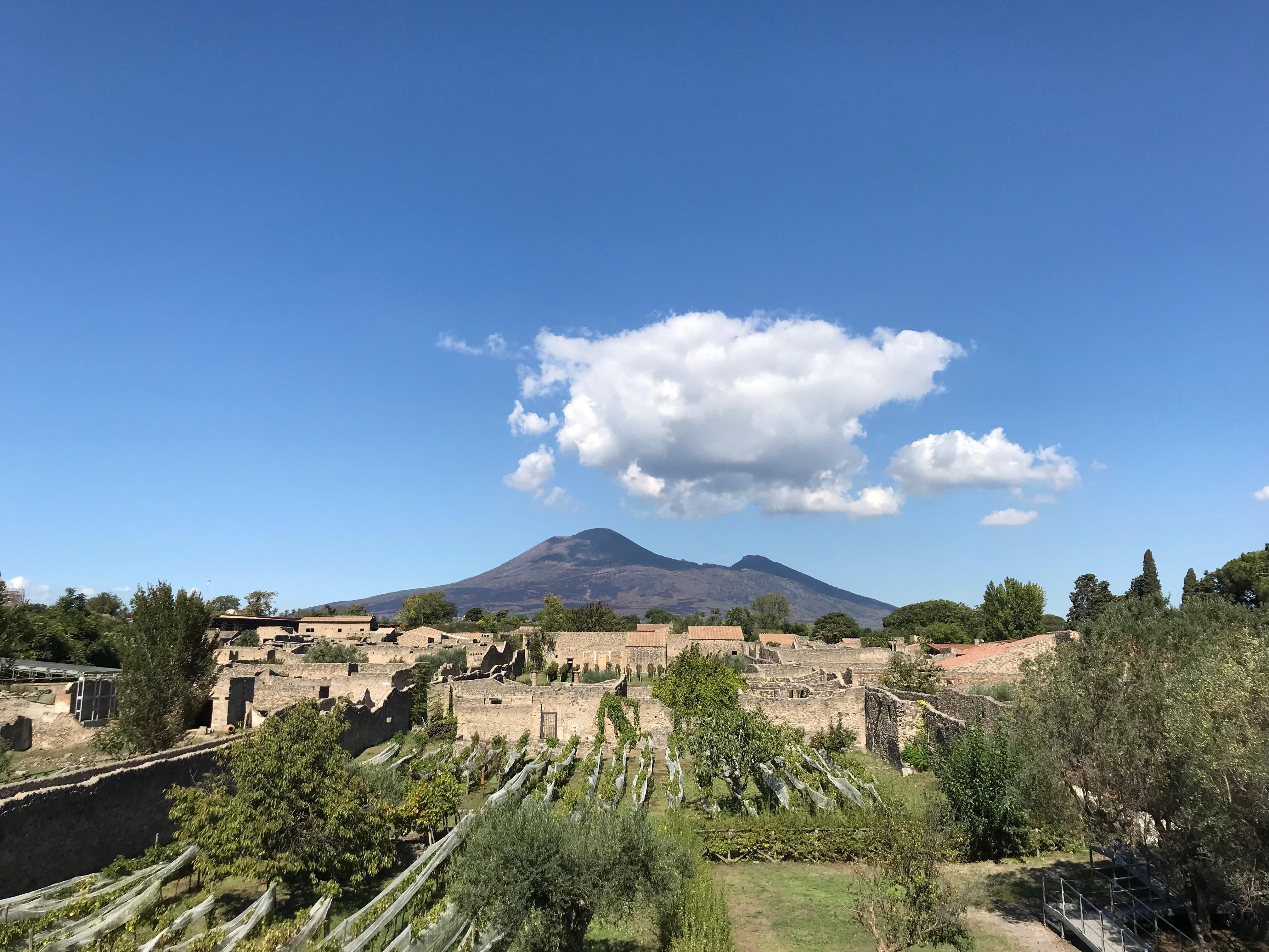 Private Pompeii & Herculaneum Explorer Tour