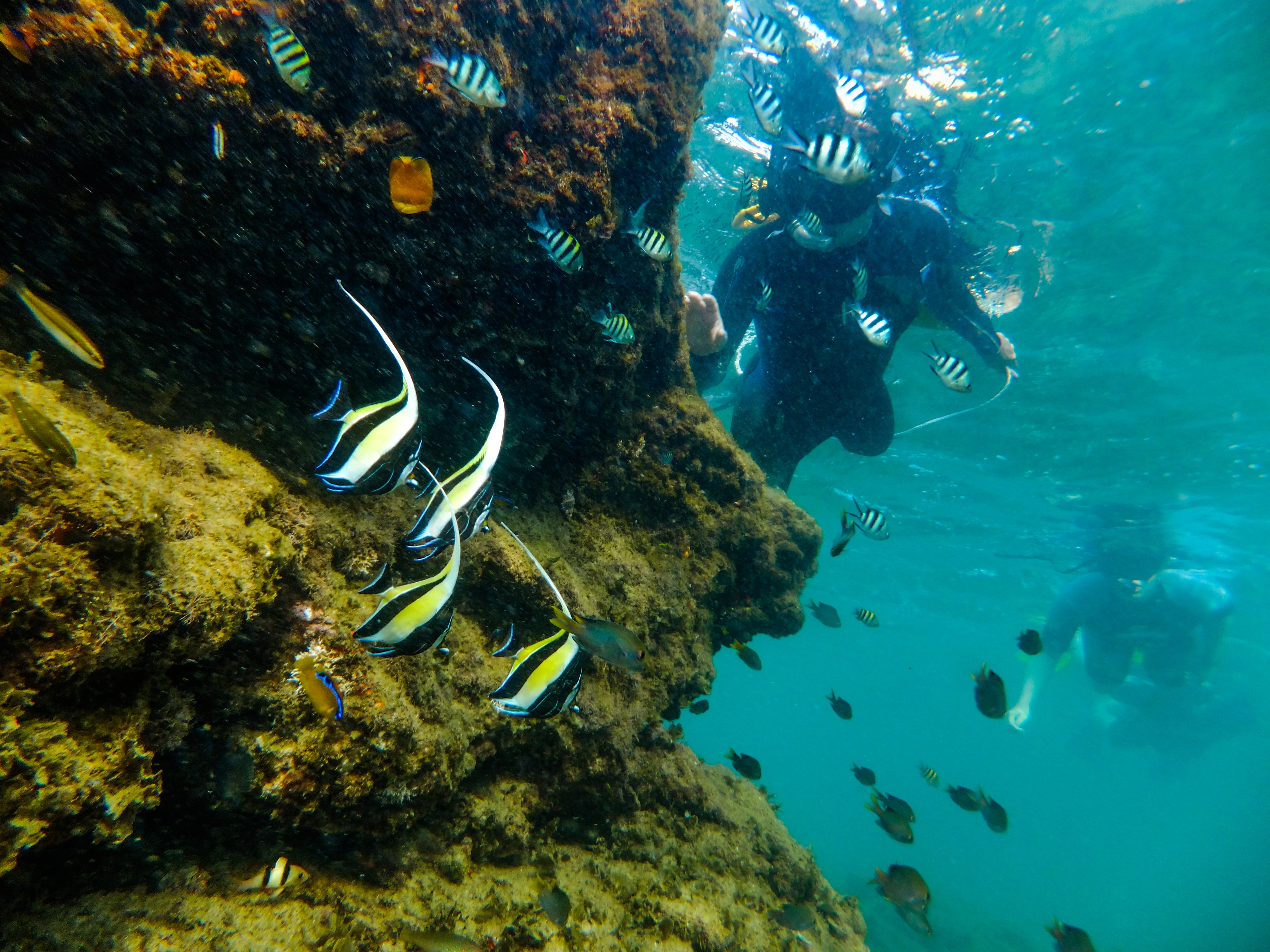 Cape Vidal Snorkeling Adventure