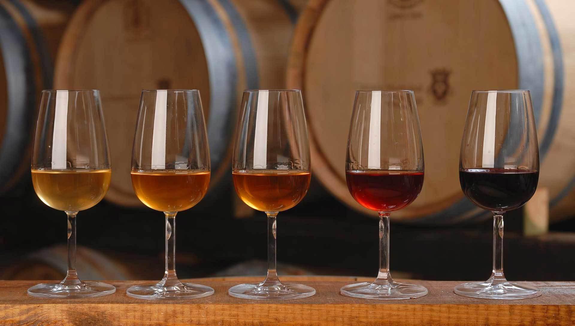 madeira wine tasting in Lisbon — photo 2