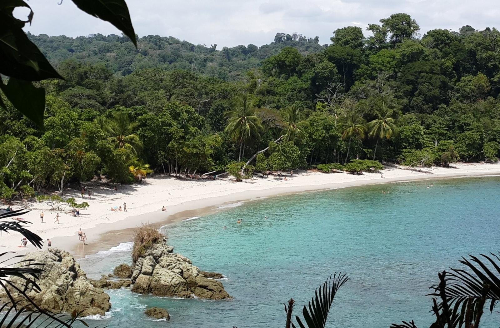 Manuel Antonio Park Day Trip from San José