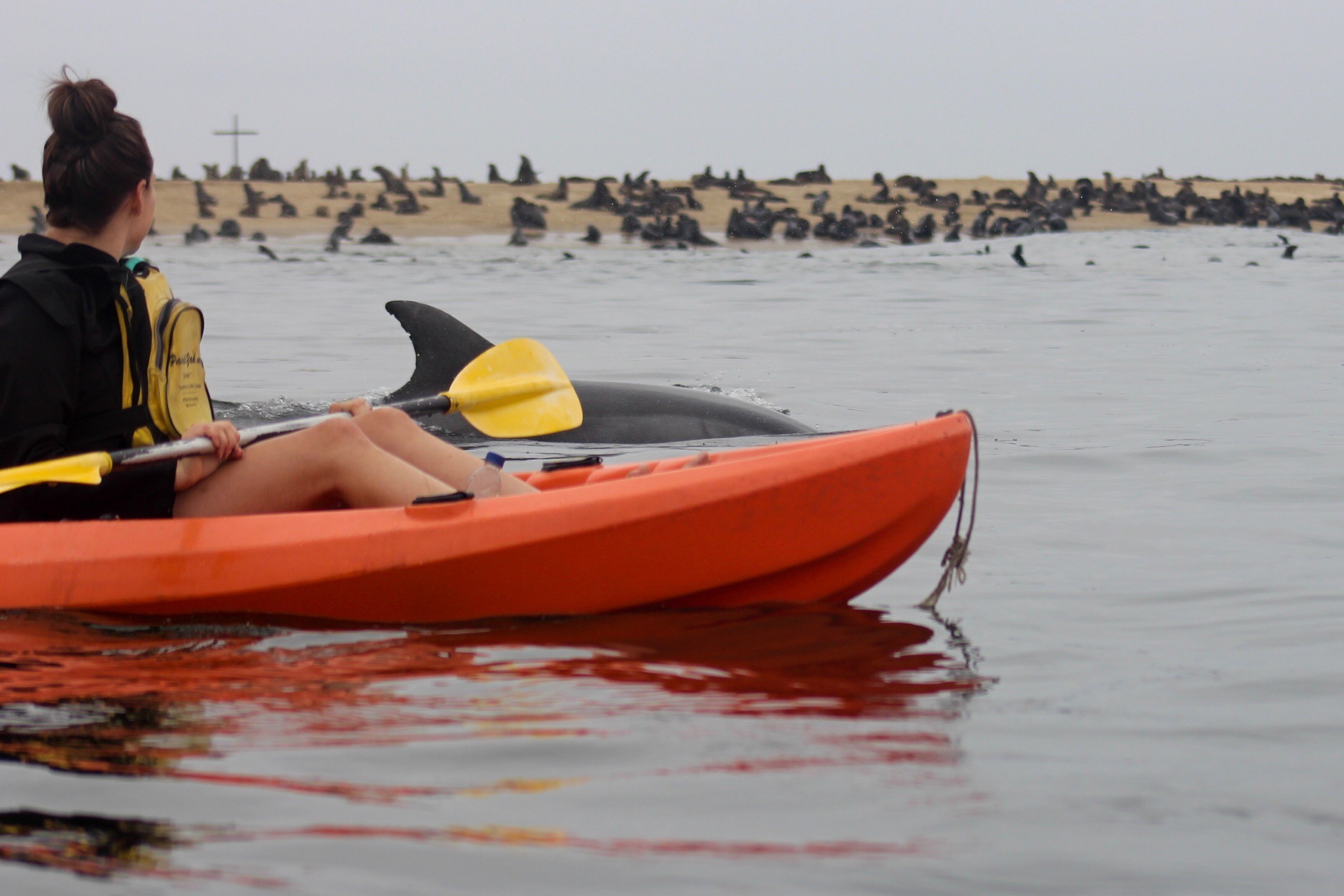 Seal Kayaking & Sandwich Harbour 4x4 Desert Adventure