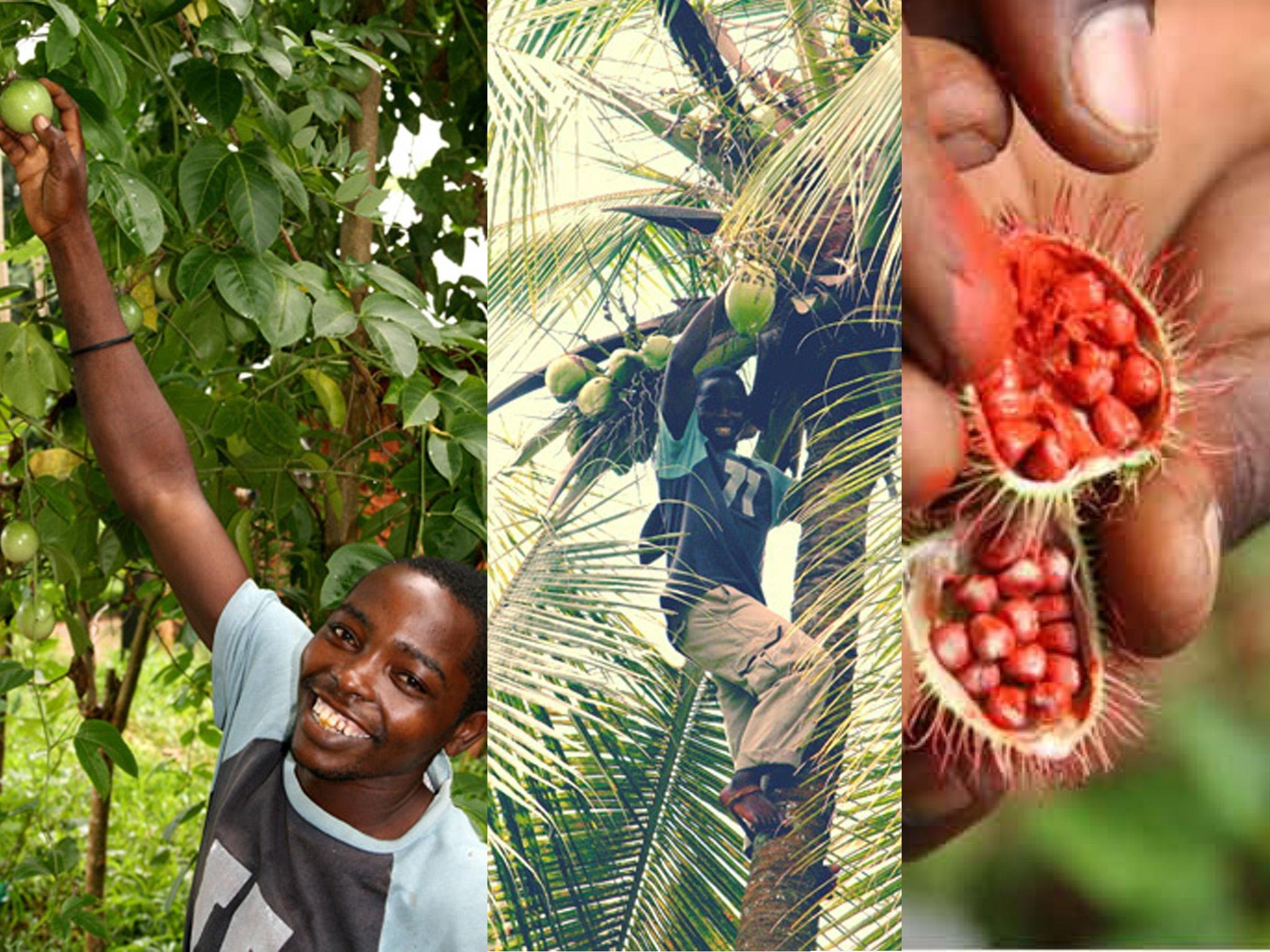 Zanzibar Swahili Spice & Culinary Experience
