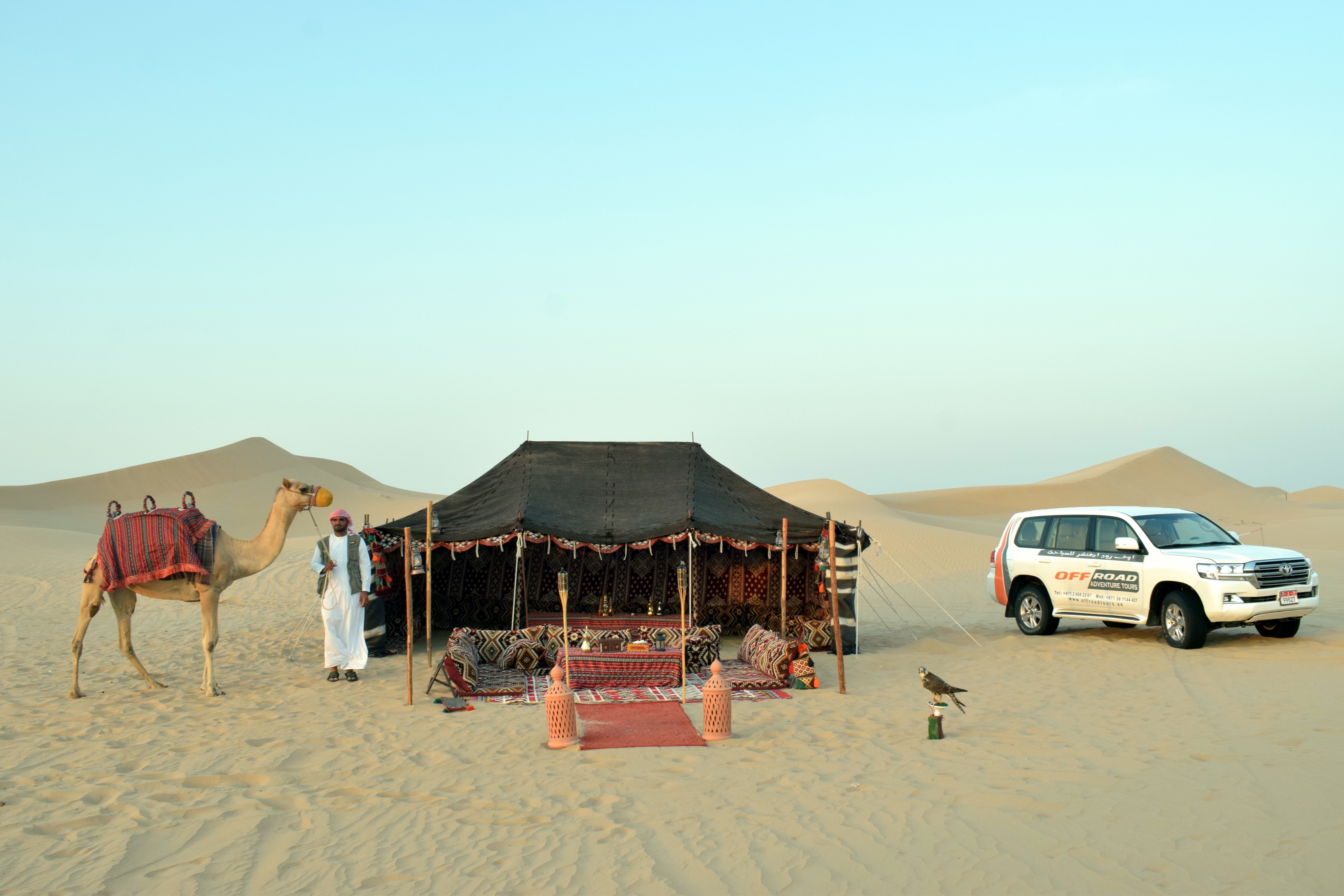 Abu Dhabi Morning Desert Safari with Camel Ride & Sandboarding