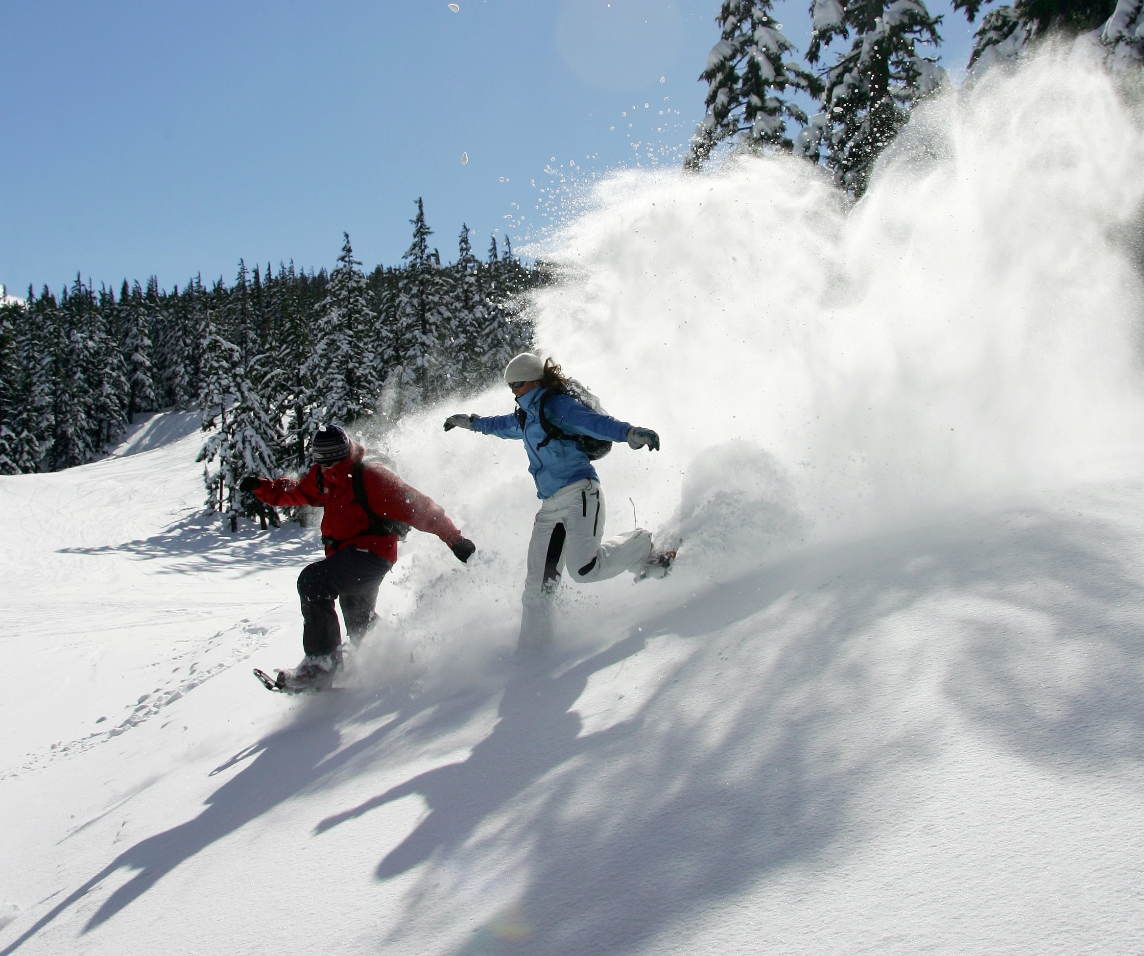 Half-Day Snowshoe Adventure in the Cascades