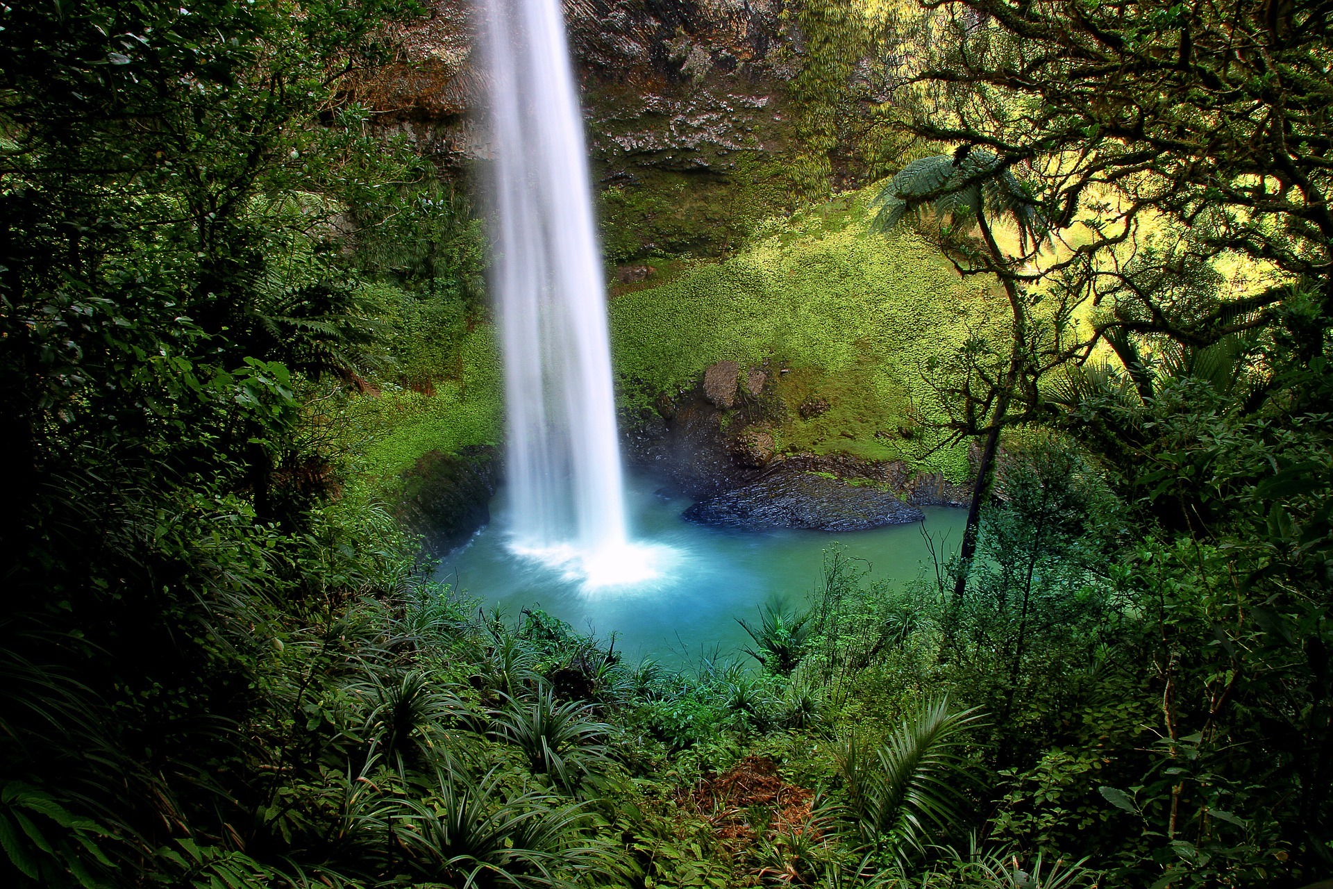 South Island tour photo — image 4