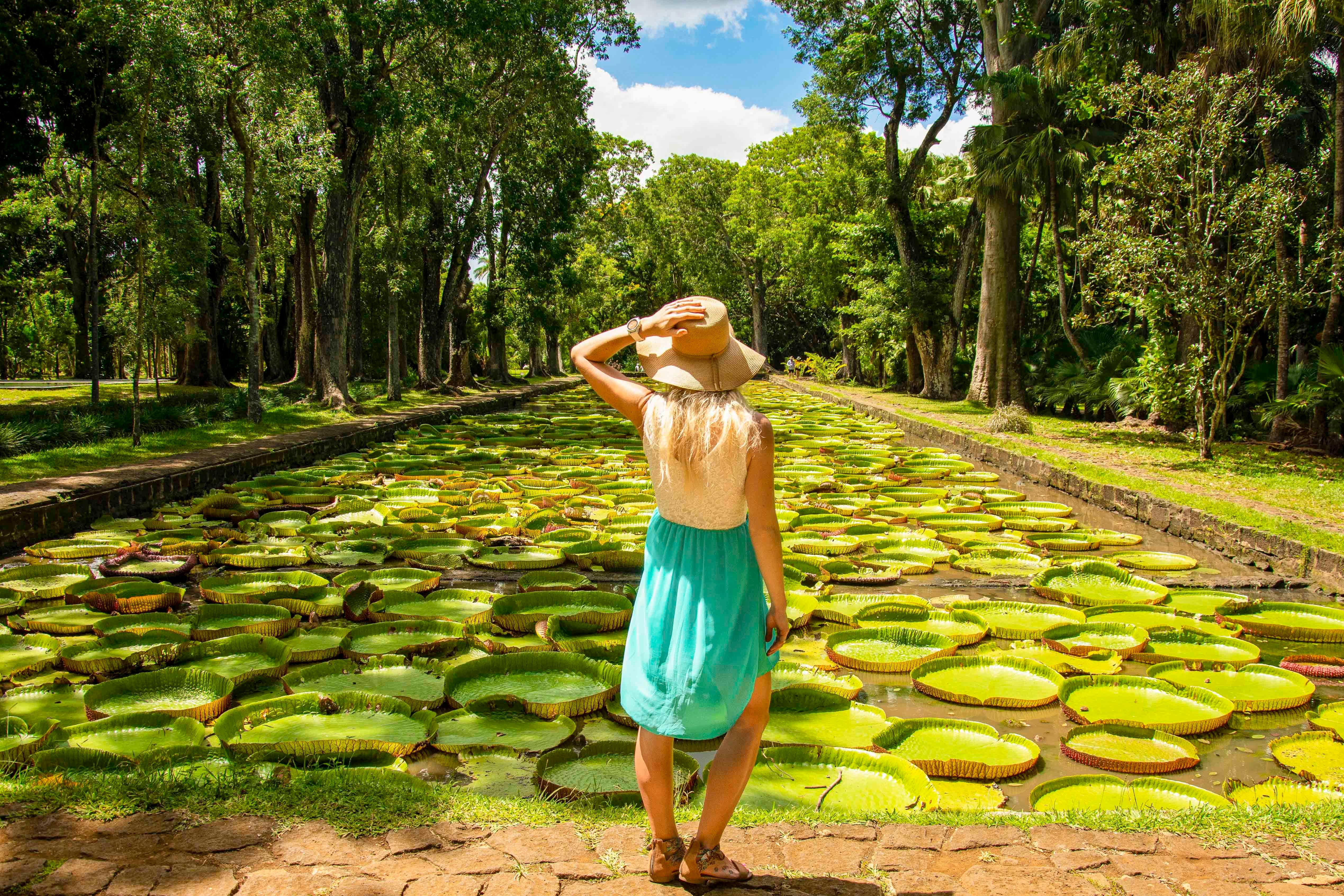 Private Mauritius Instagram Tour: Waterfalls, Colored Sands & Sacred Sites