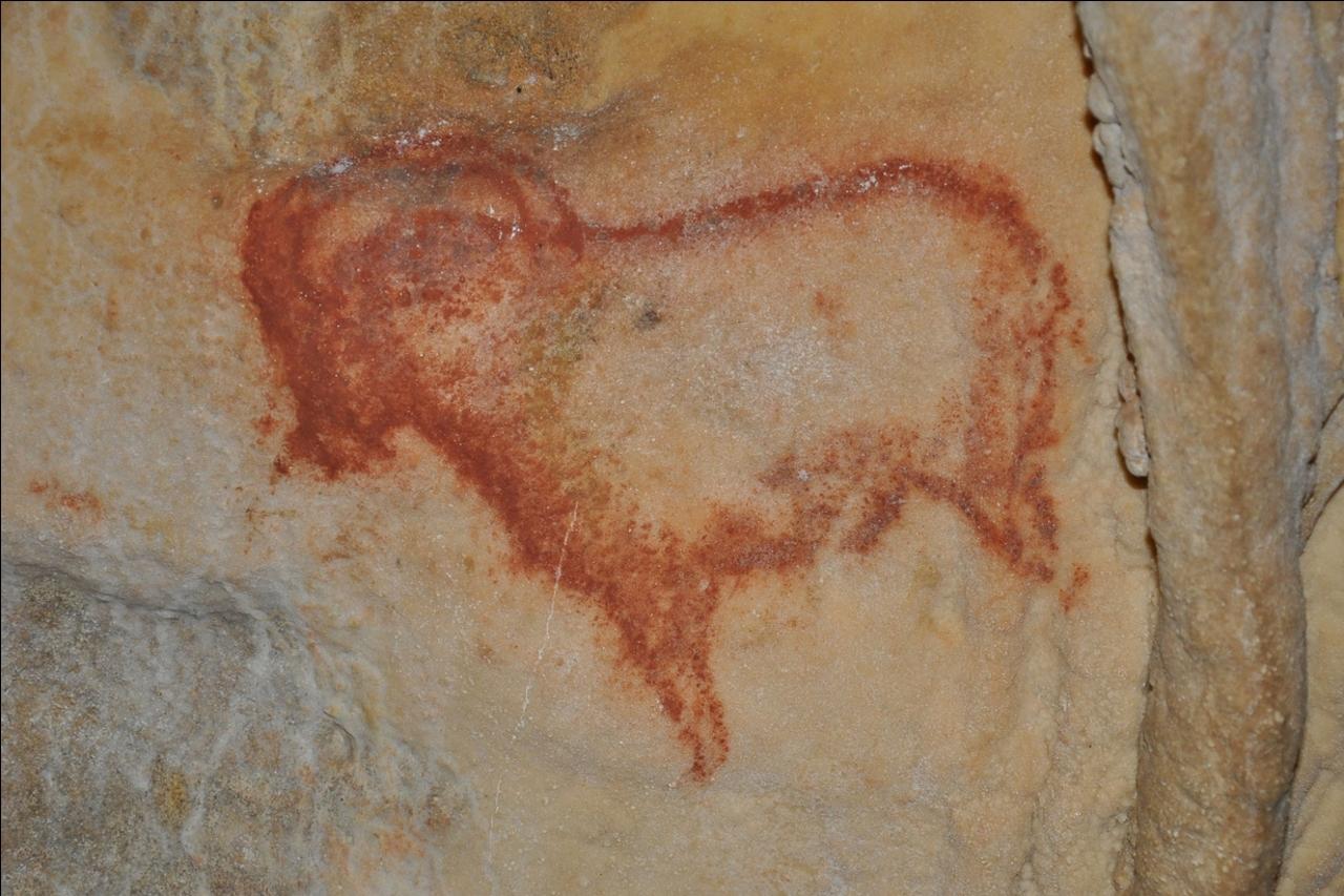 Private Prehistoric Cave & Medieval Castle Tour from Sarlat