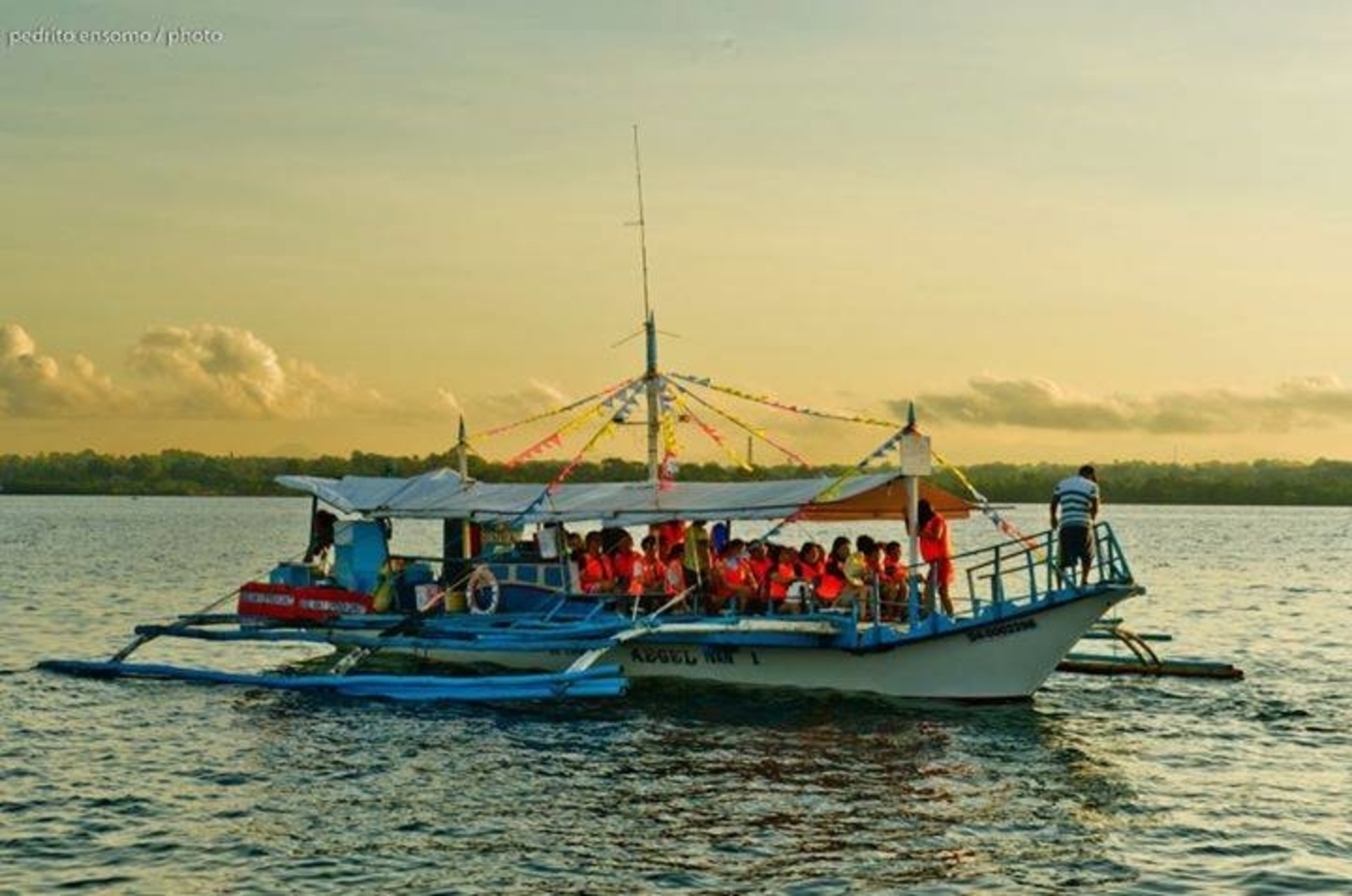 Puerto Princesa Firefly & Bioluminescence Bay Cruise with Dinner