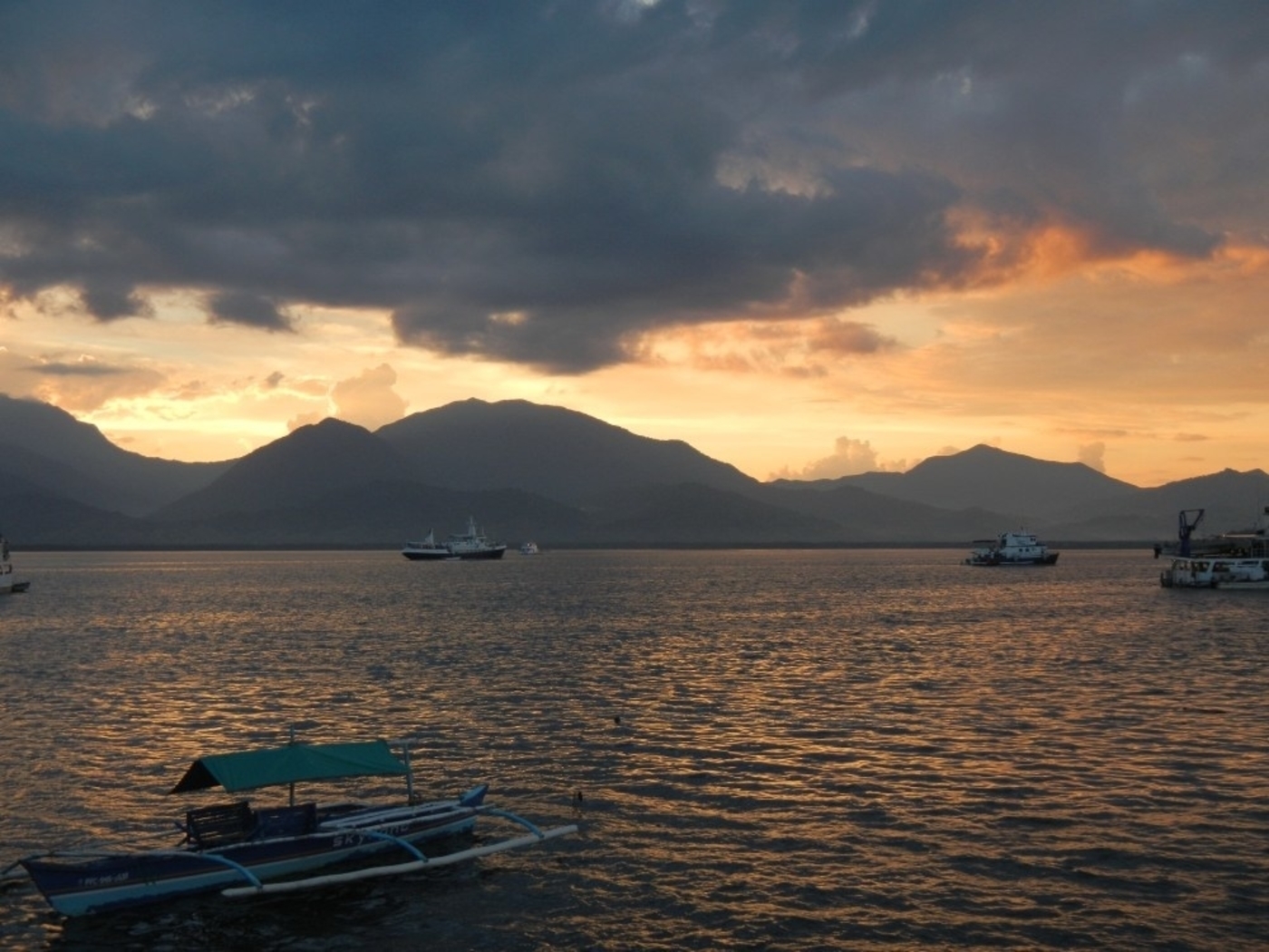 Puerto Princesa Firefly & Bioluminescence Bay Cruise with Dinner