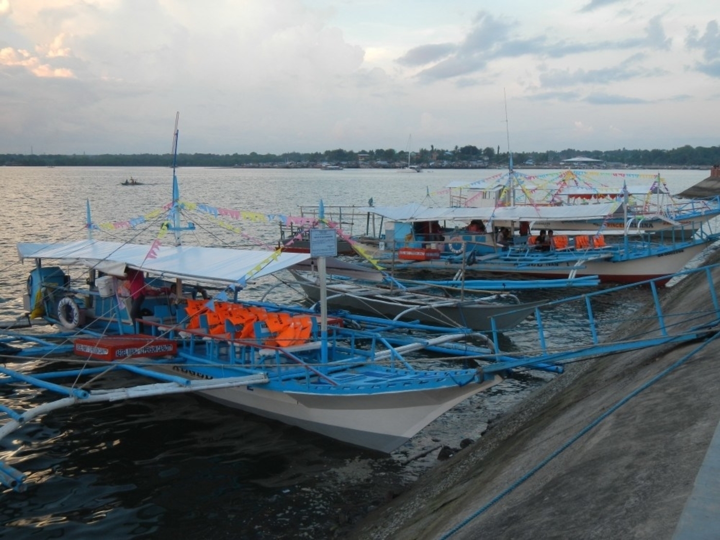 Puerto Princesa Firefly & Bioluminescence Bay Cruise with Dinner