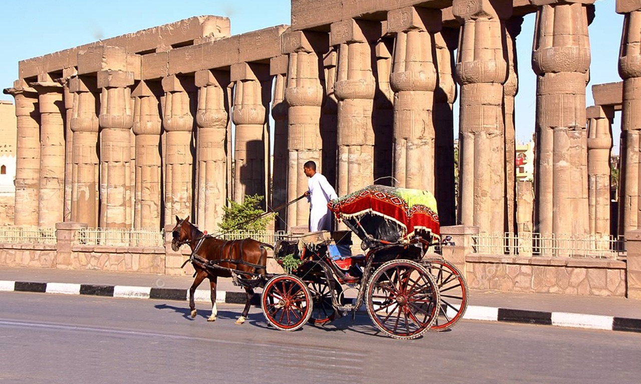 Private Horse Carriage Ride Along Luxor's Nile Corniche