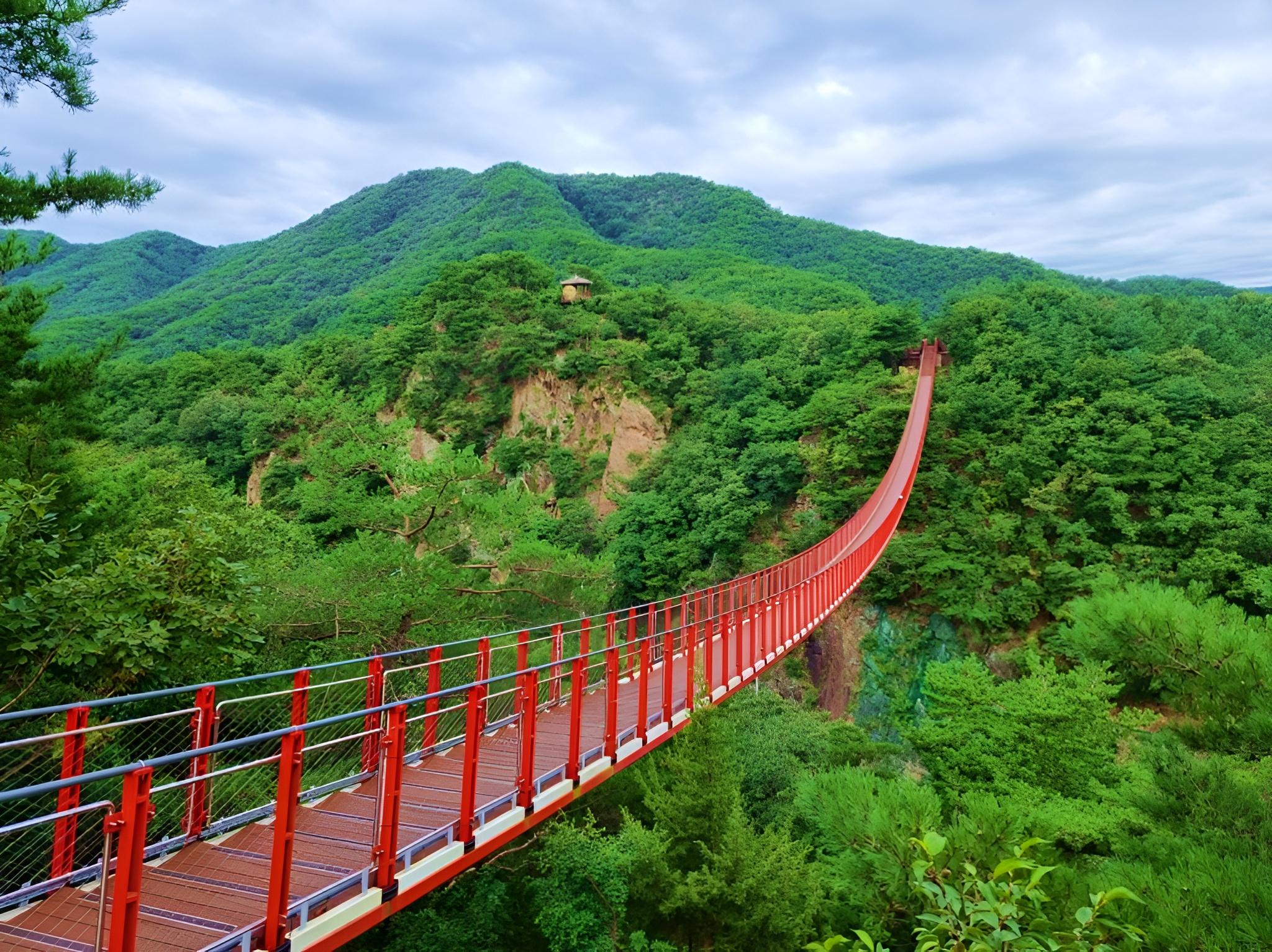 Korea DMZ Insider Tour: Defector Q&A, 3rd Tunnel & Suspension Bridge