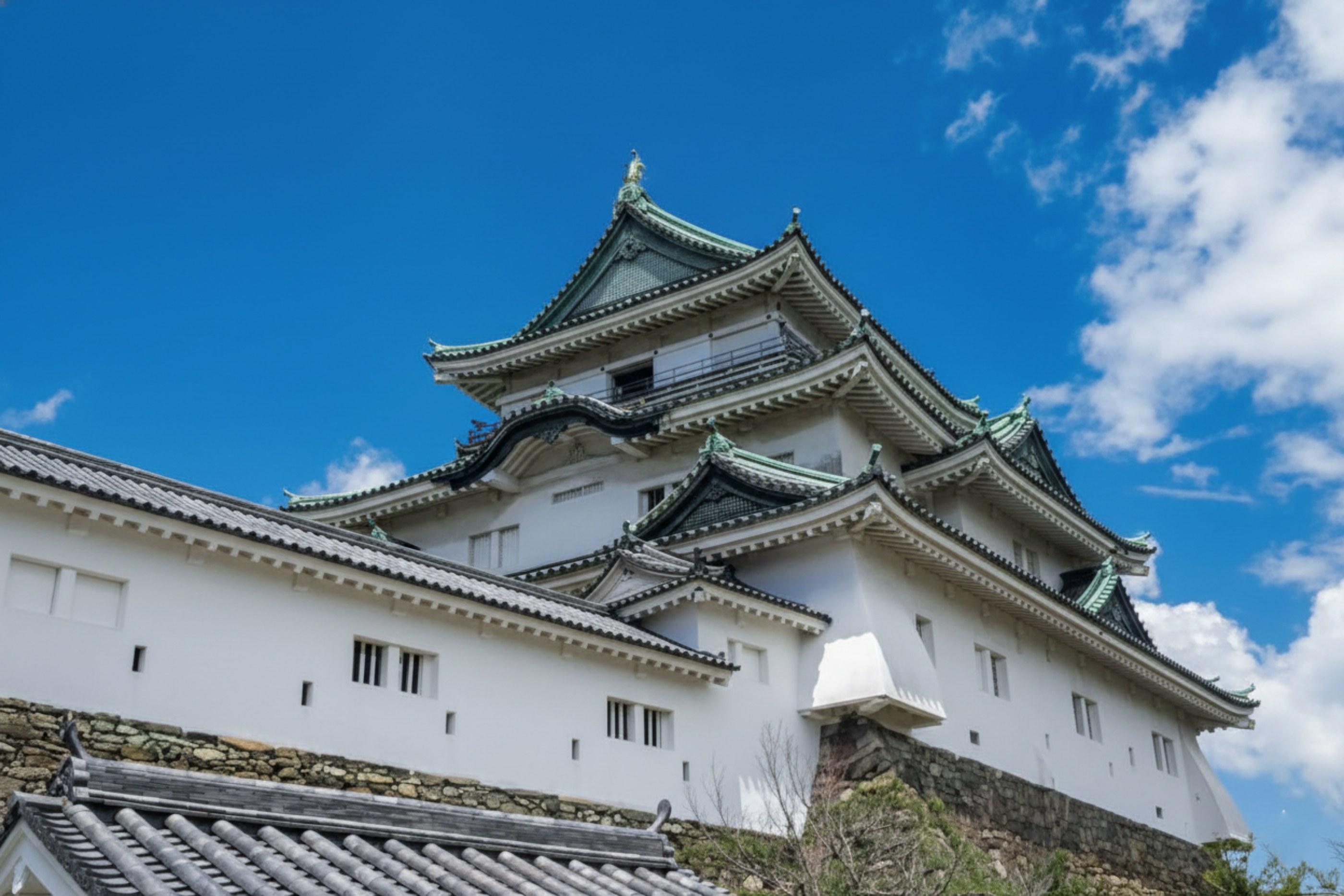 Private Wakayama Discovery Tour with Local Expert