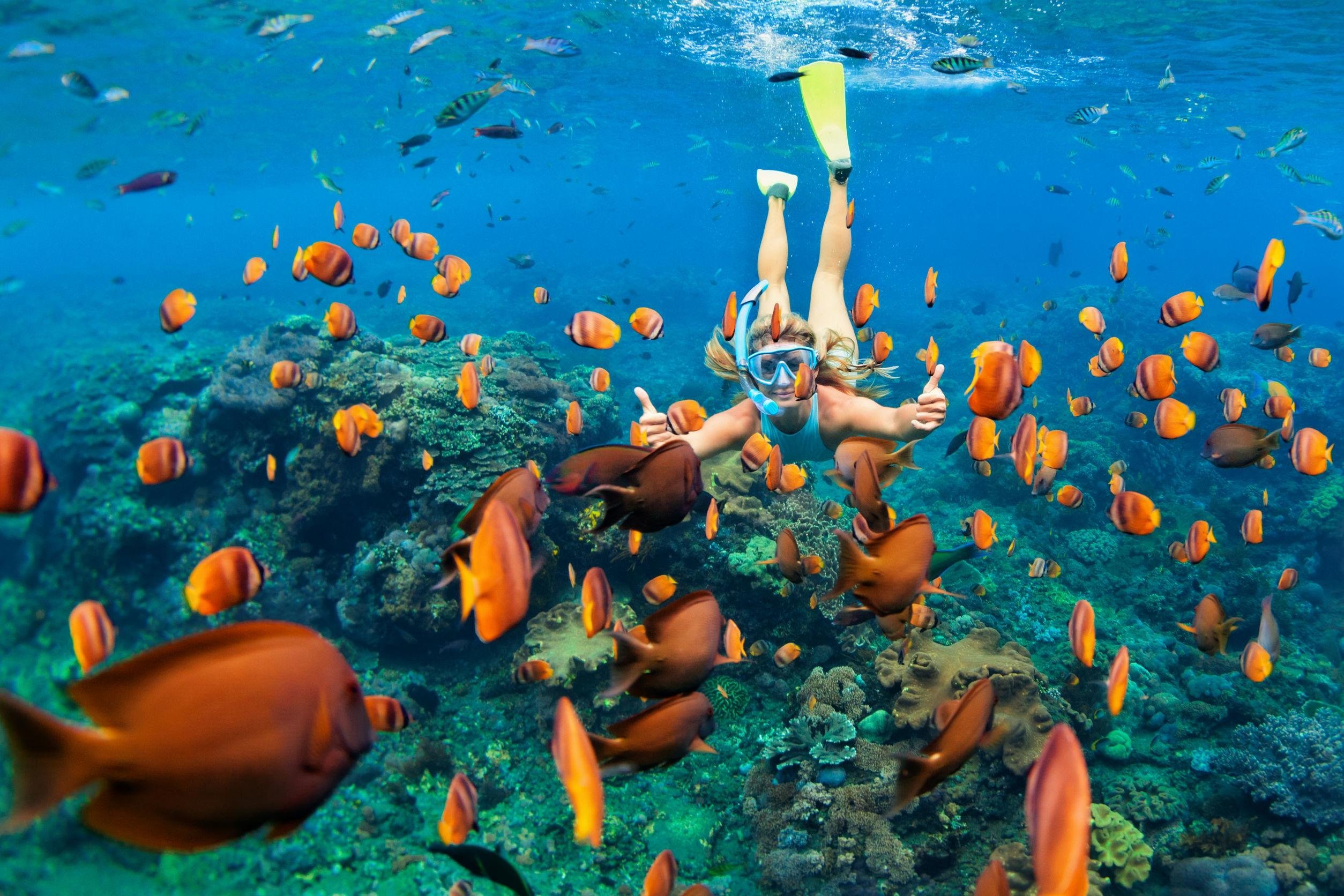 Virgin Islands Snorkeling & Beach Boat Excursion
