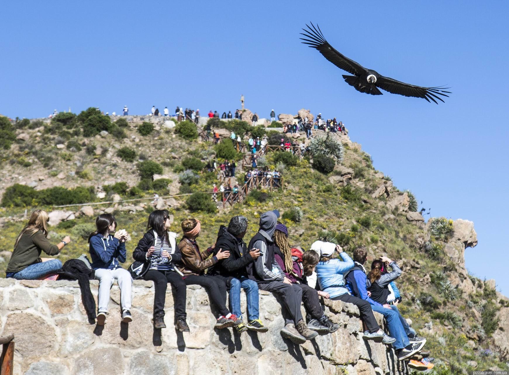 Two-Day Colca Canyon Adventure from Arequipa to Puno