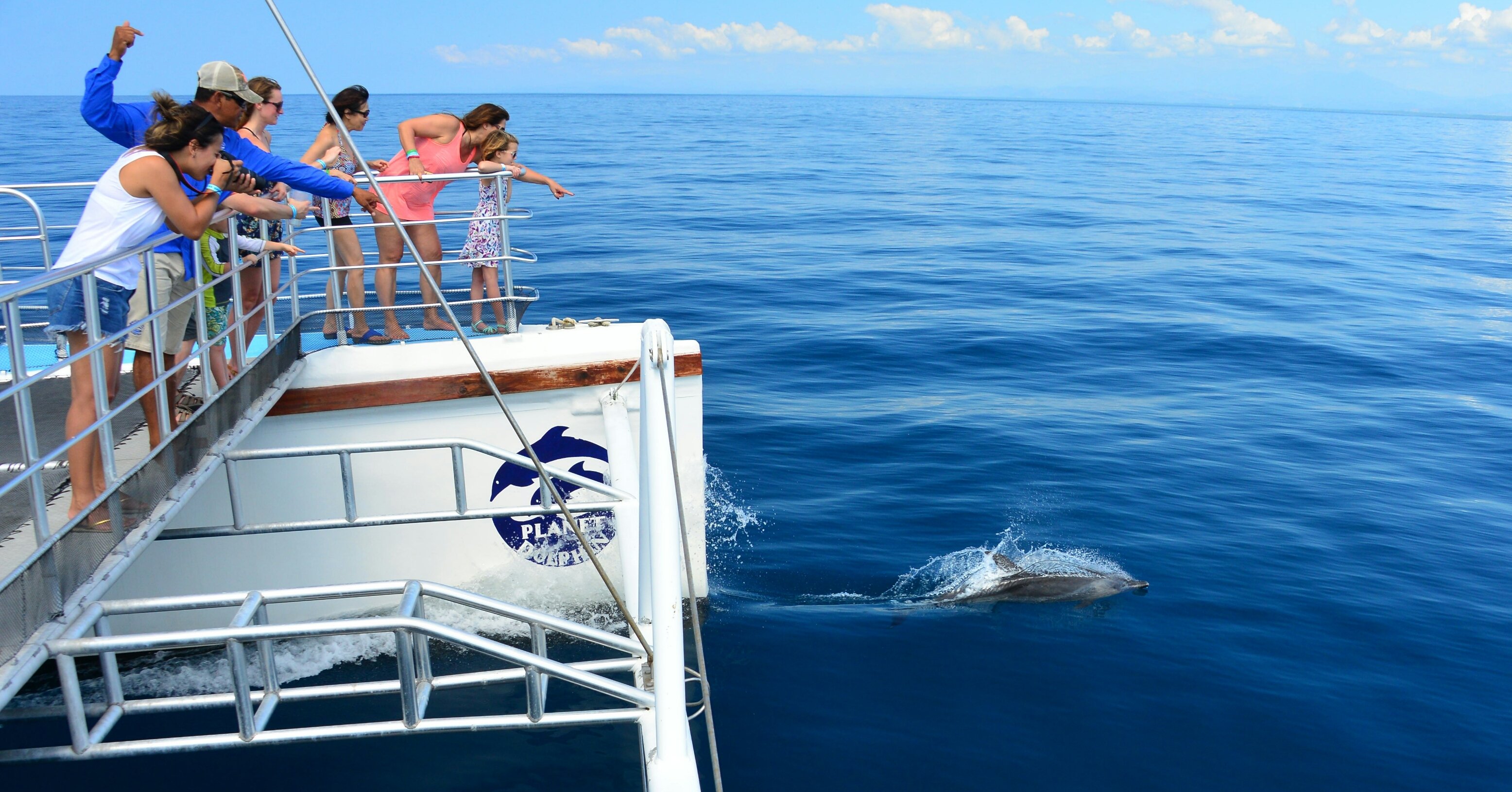 Pacific Coast Catamaran Eco Adventure with Lunch
