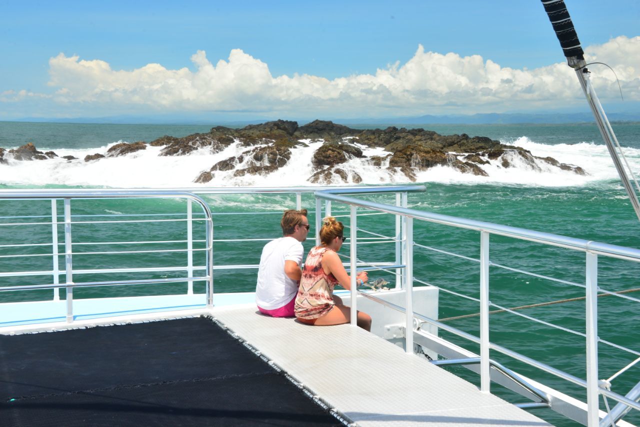 Pacific Coast Catamaran Eco Adventure with Lunch