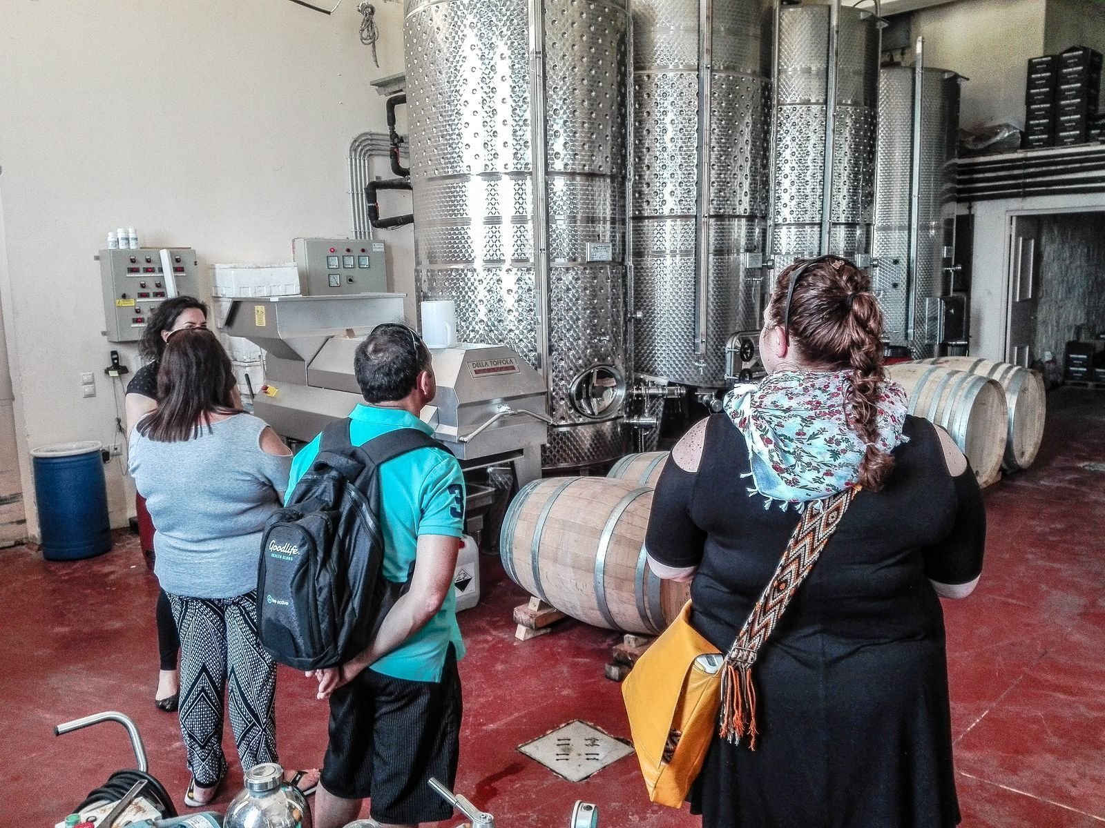wine tour in Crete — photo 4