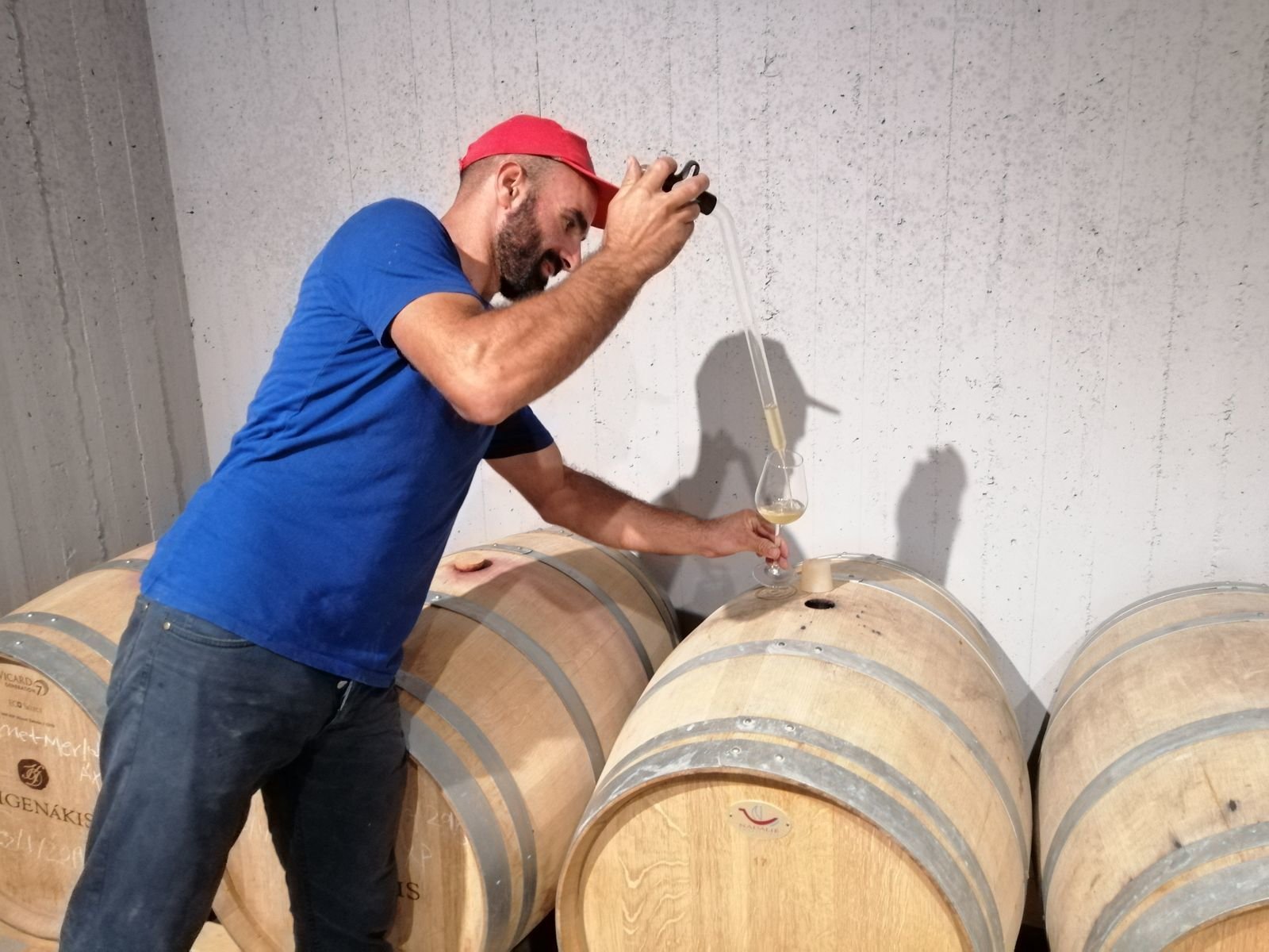 wine tour in Crete — photo 13