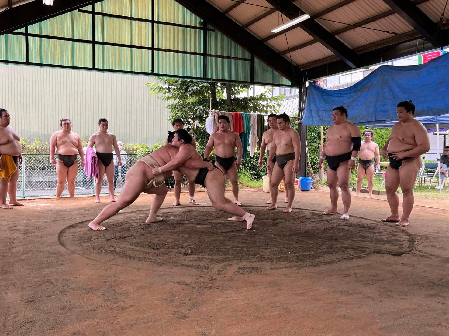 Nagoya: Visit Sumo Morning Practice with English Guide