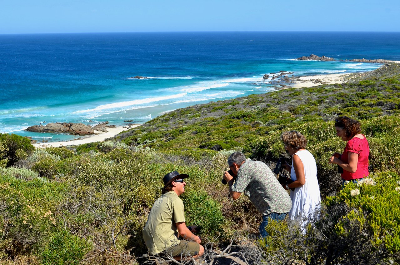 Coastal and Wildlife Eco Tour from Busselton