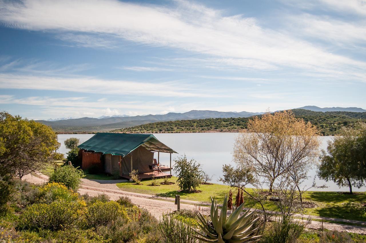 Cape Town: 2-Day Garden Route Safari & Luxury Glamping Experience