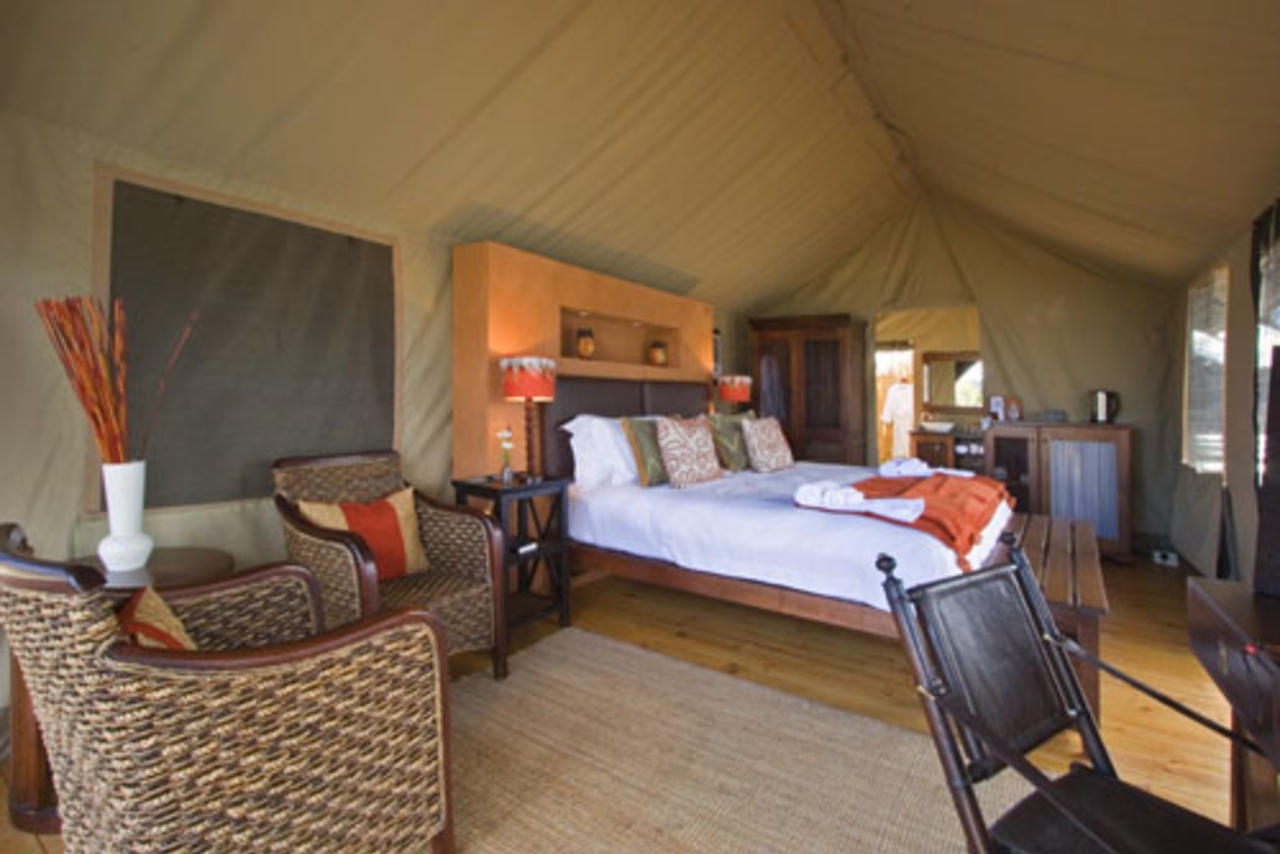Cape Town: 2-Day Garden Route Safari & Luxury Glamping Experience