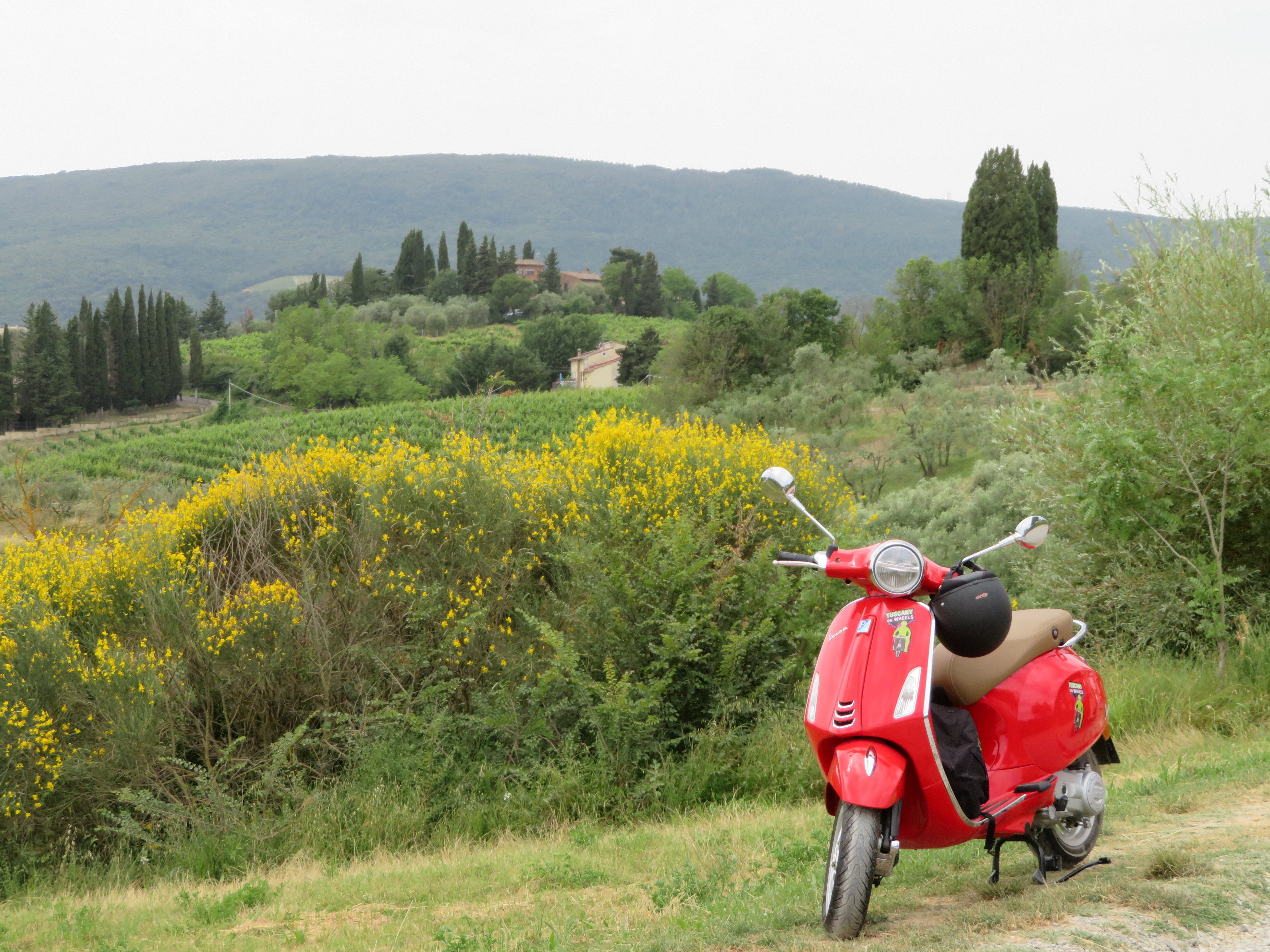 From Florence: Tuscany Vespa Tour with Lunch & Wine Tasting - 2026 (Verified Reviews)