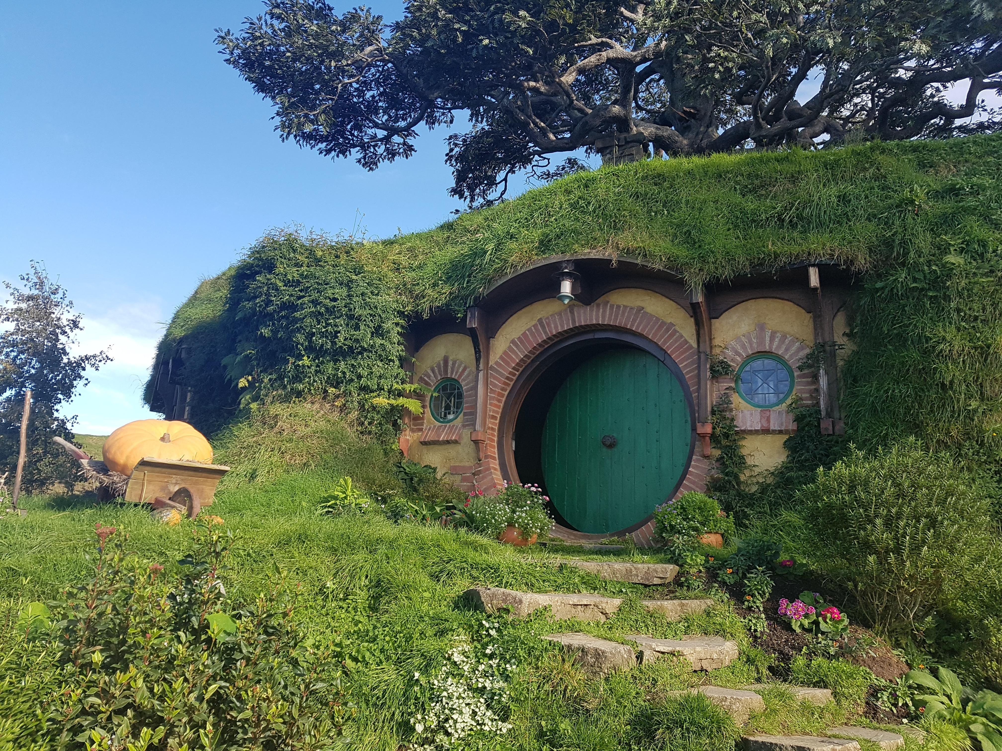 From Auckland: Two-Day Hobbiton, Rotorua, Waitomo Caves Tour
