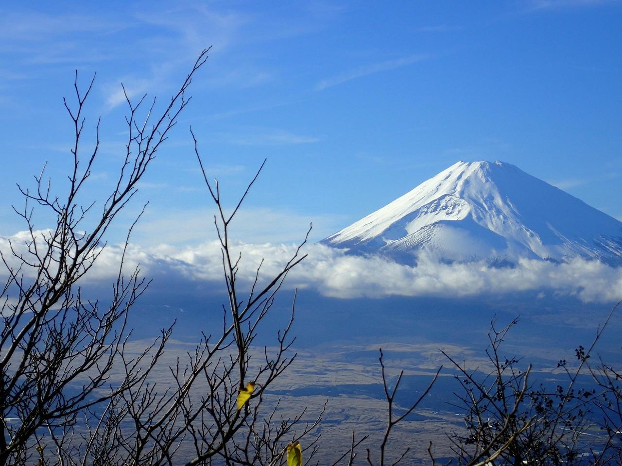 Private Tokyo Day Trip: Mount Fuji & Hakone with English-Speaking Driver