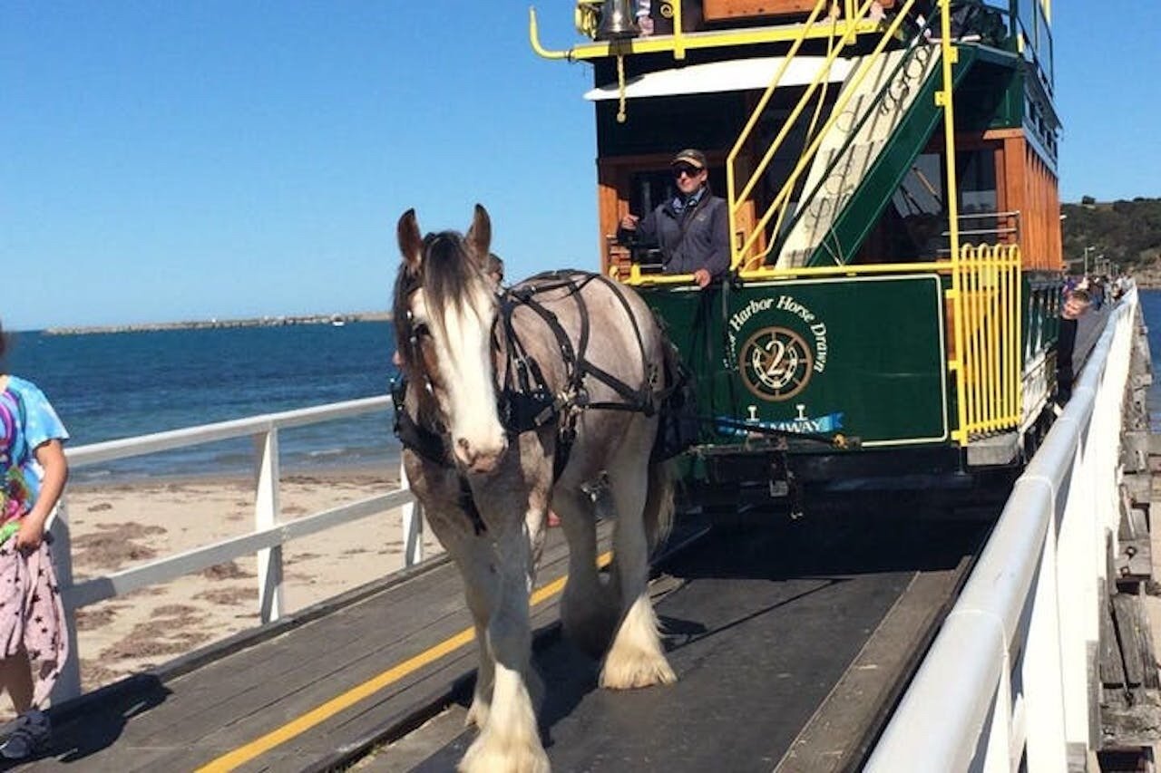 Adelaide Full-Day Highlights: Hahndorf, Victor Harbor & McLaren Vale