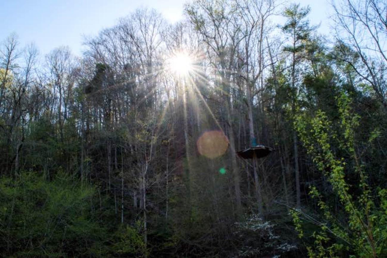 Fast zip line descent over the Smoky Mountains canopy near Pigeon Forge