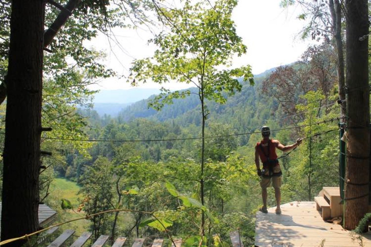 Forest canopy views on a Sevierville waterfall zipline tour