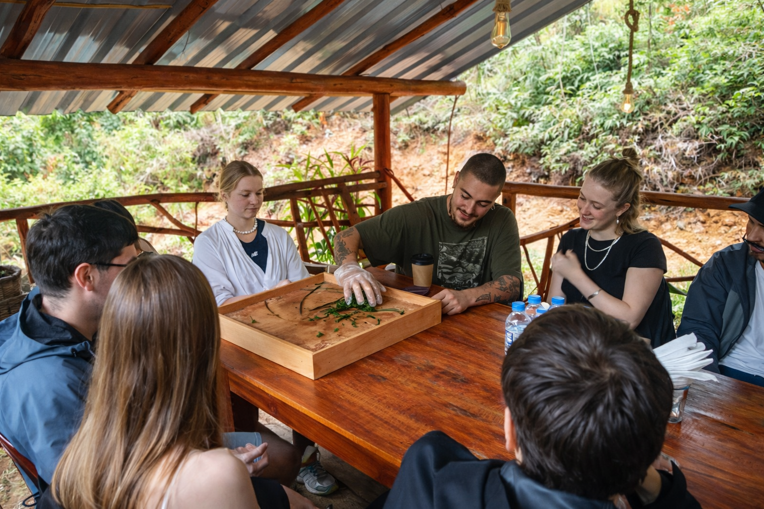 Ella: Hands-On Tea Making and Tasting Experience