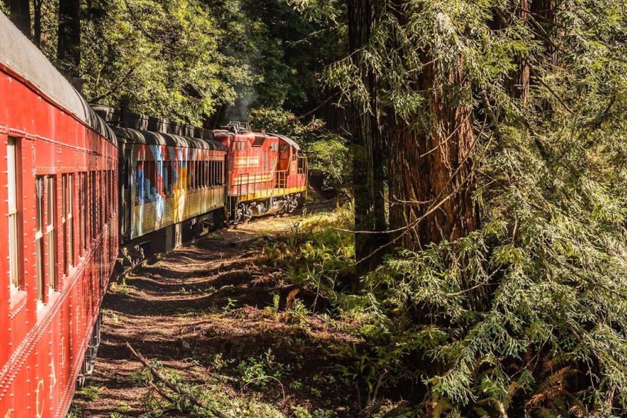 Mendocino County: Skunk Train Pudding Creek Train Ride - 2026 (Verified Reviews)
