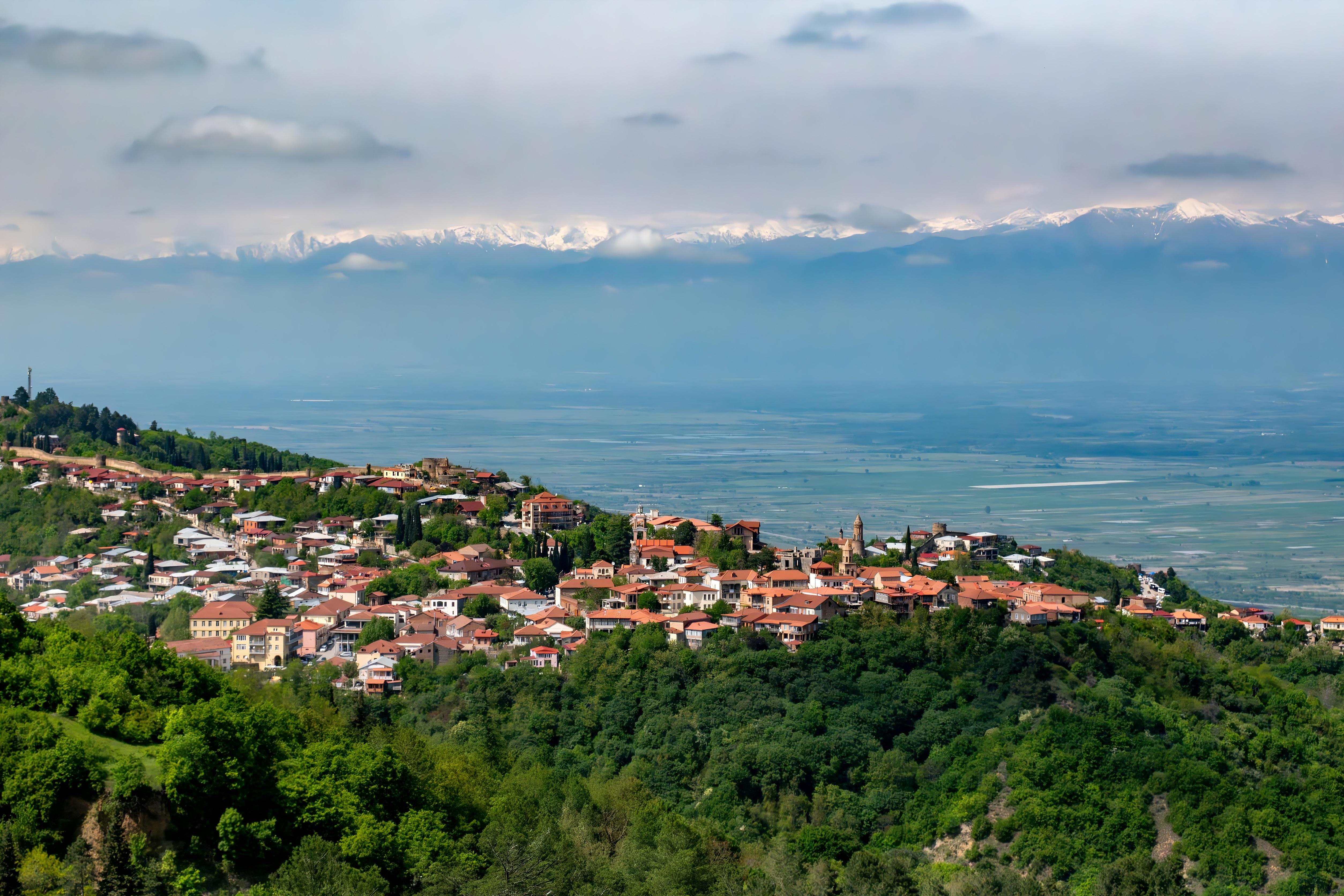 Private Kakheti Wine Tour & Sighnaghi Great Wall from Tbilisi