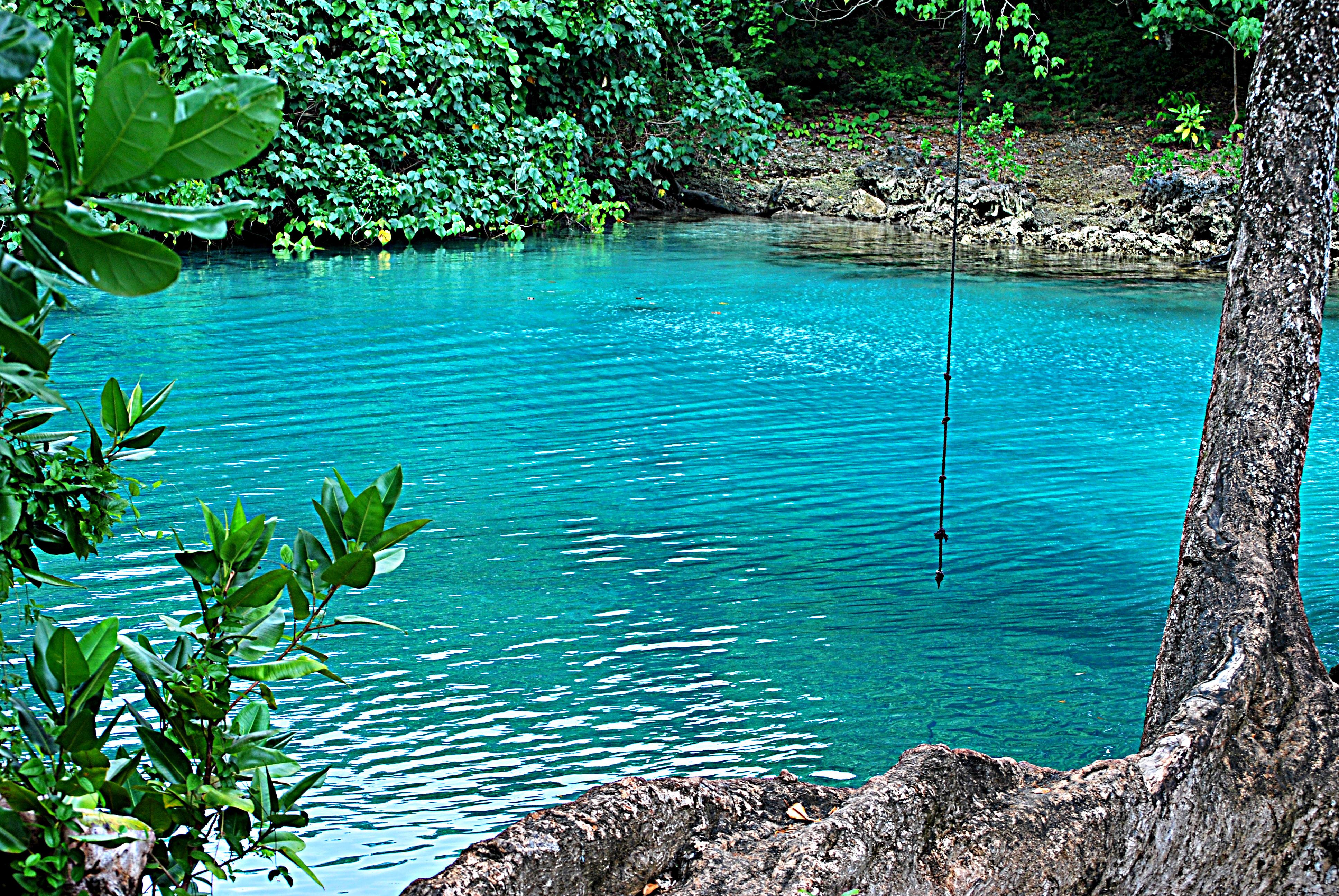 Blue Lagoon & Eden on the River Half-Day Tour